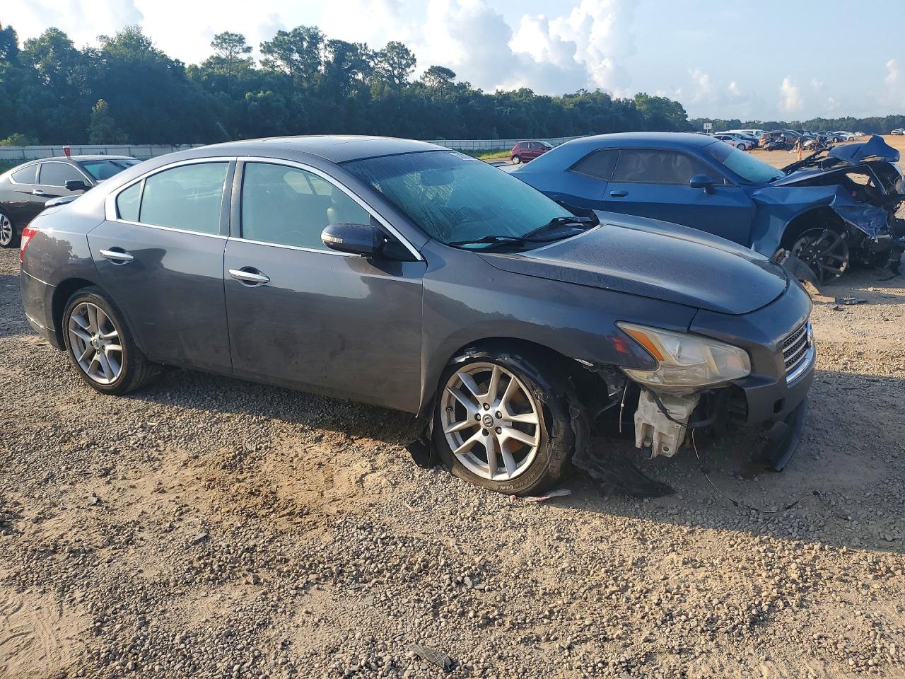 2009 Nissan Maxima 3.5 S Charcoal vin: 1N4AA51E39C816517