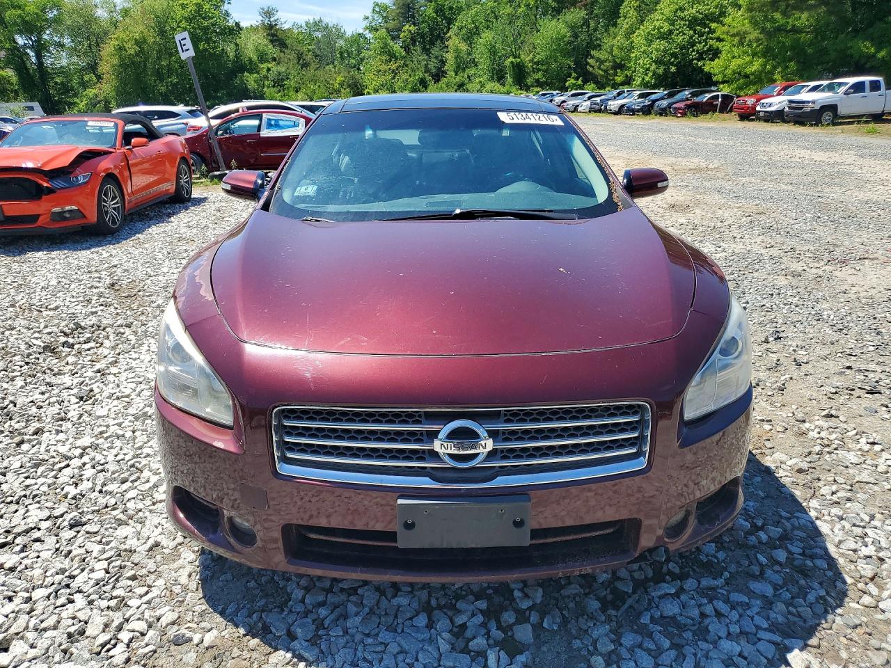 2009 Nissan Maxima S/sv Красный vin: 1N4AA51E39C851235