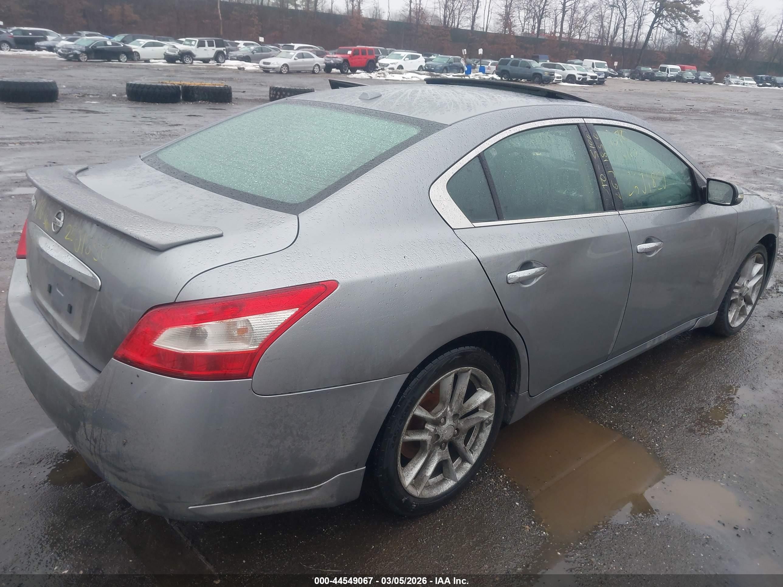 2009 Nissan Maxima 3.5 Sv Gray vin: 1N4AA51E49C807552