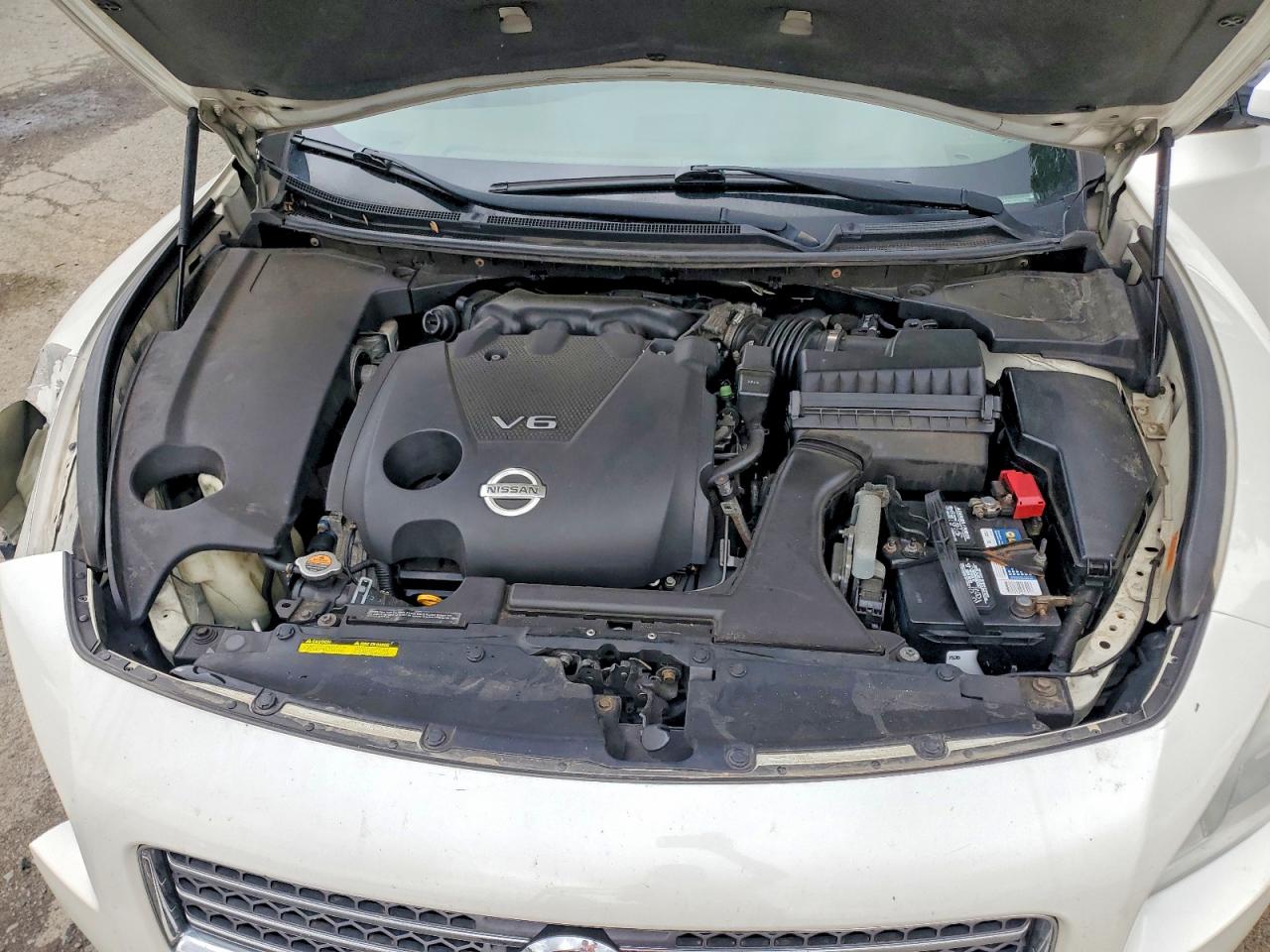 2009 Nissan Maxima 3.5 S White vin: 1N4AA51E49C829549