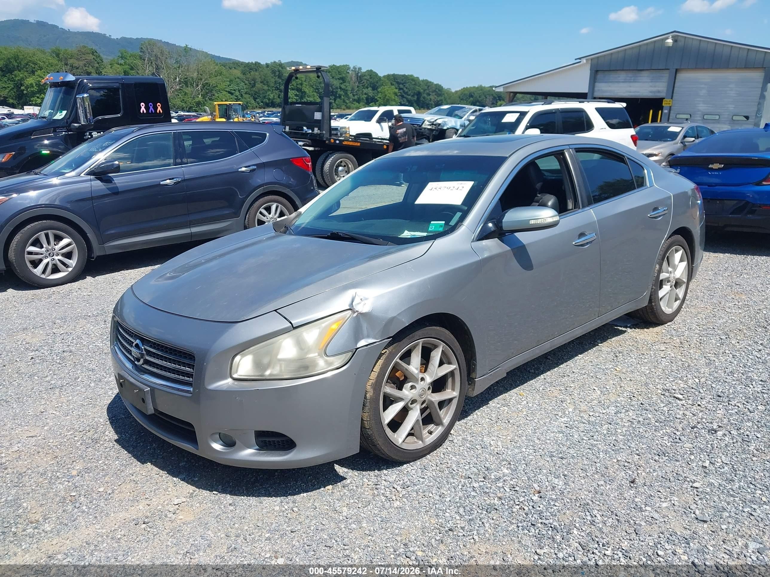2009 Nissan Maxima 3.5 Sv Silver vin: 1N4AA51E49C837408