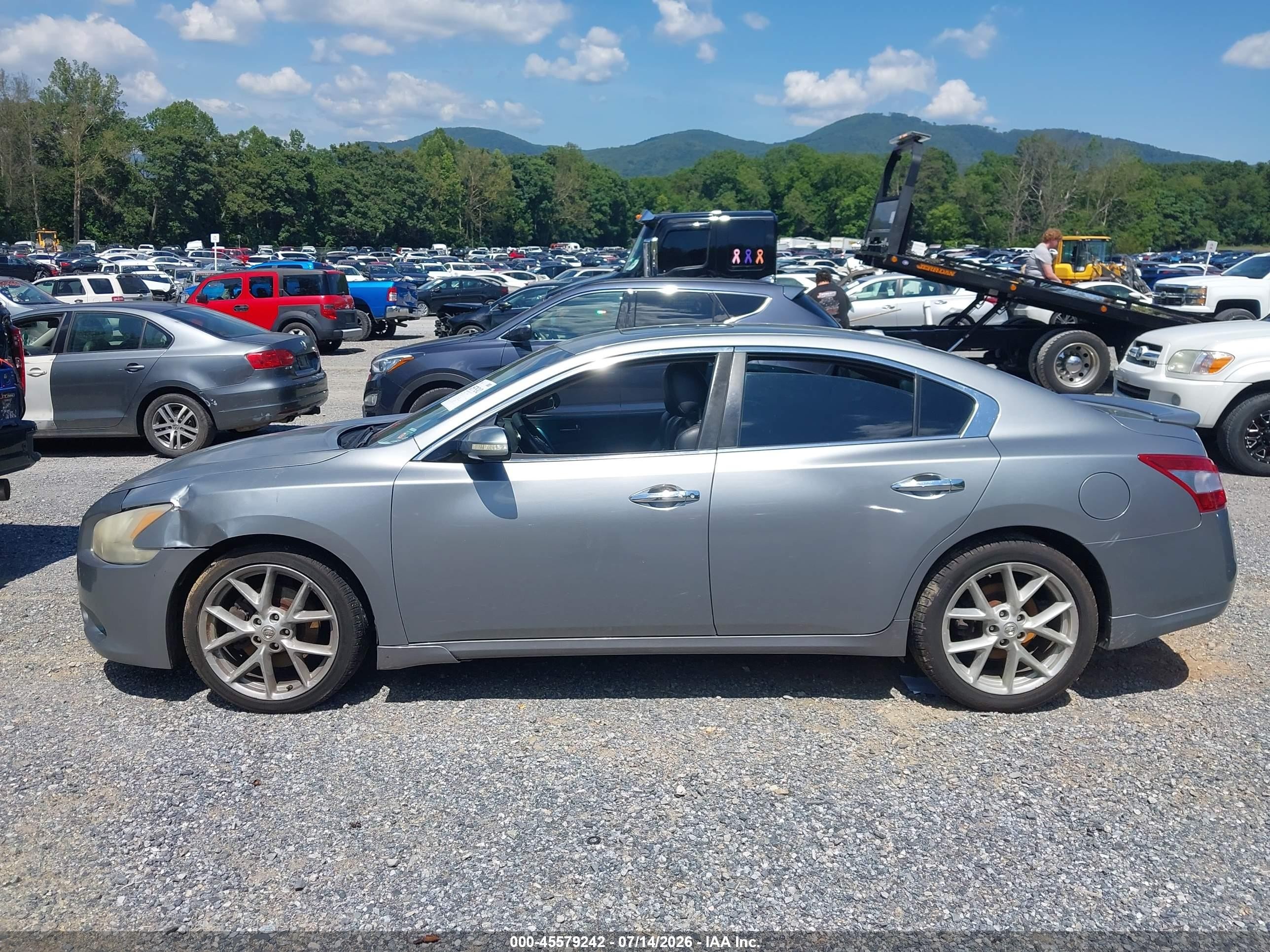 2009 Nissan Maxima 3.5 Sv Silver vin: 1N4AA51E49C837408