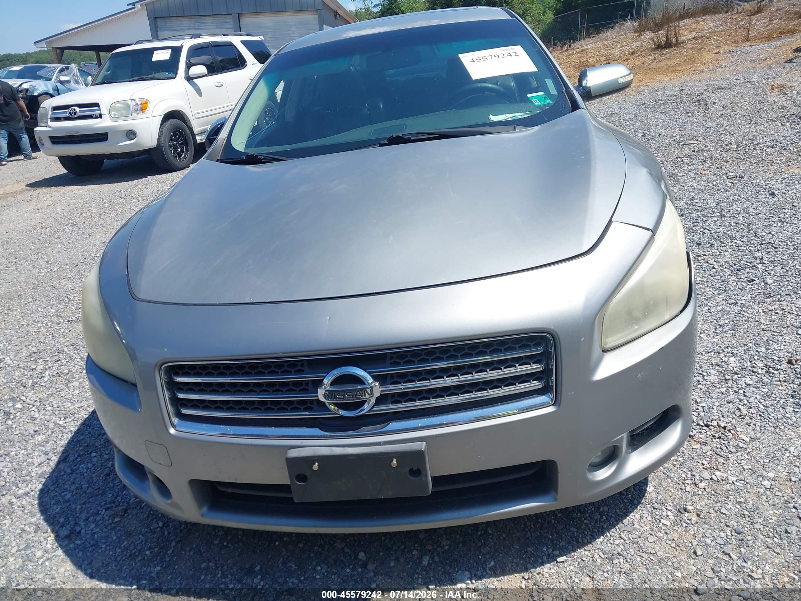 2009 Nissan Maxima 3.5 Sv Silver vin: 1N4AA51E49C837408