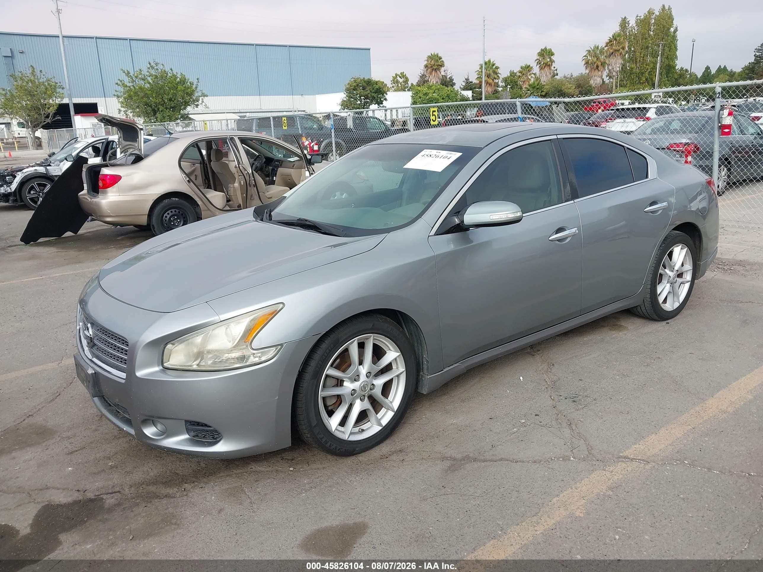 2009 Nissan Maxima 3.5 Sv Gray vin: 1N4AA51E59C803350