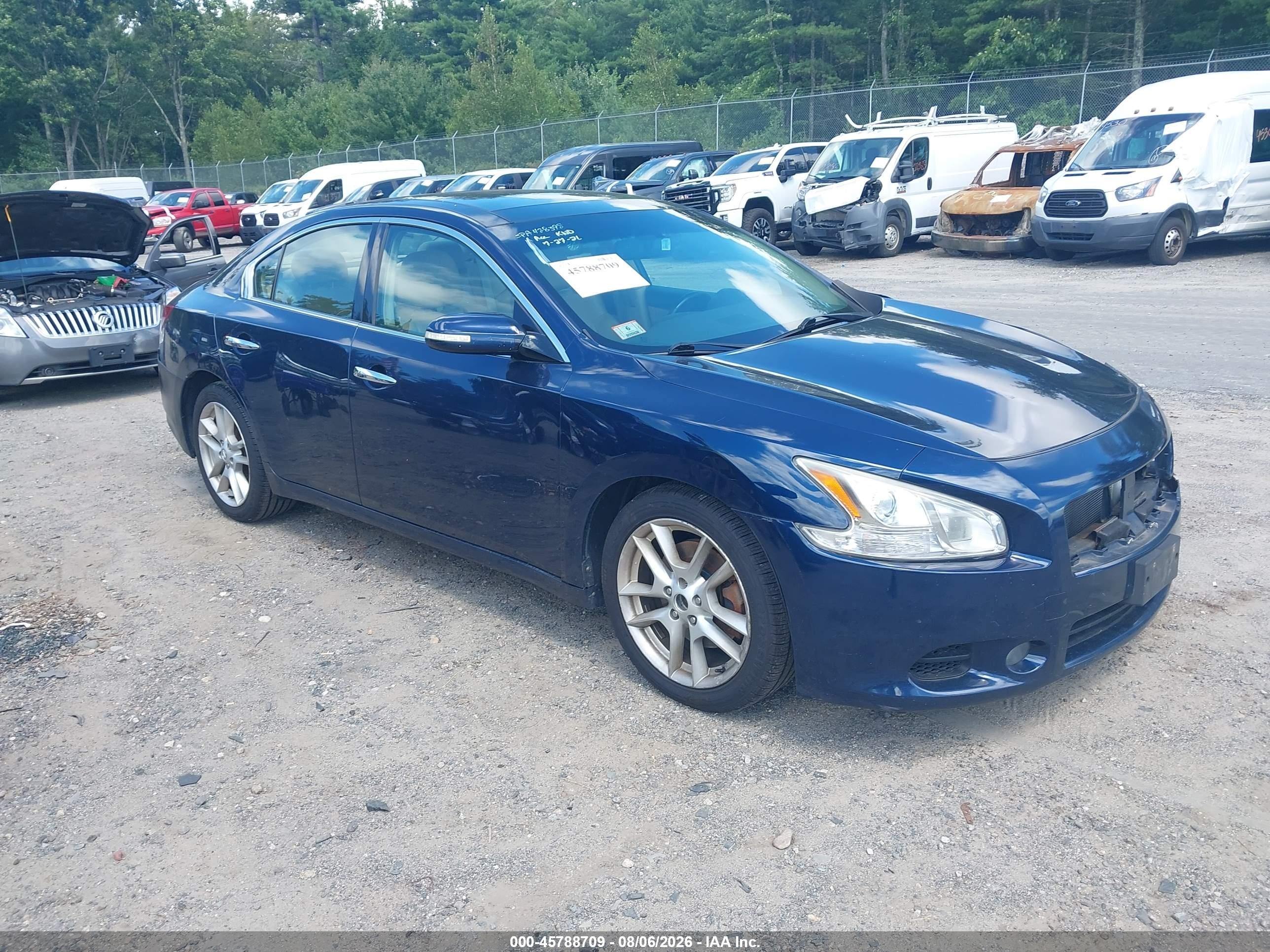 2009 Nissan Maxima 3.5 Sv Blue vin: 1N4AA51E59C815319