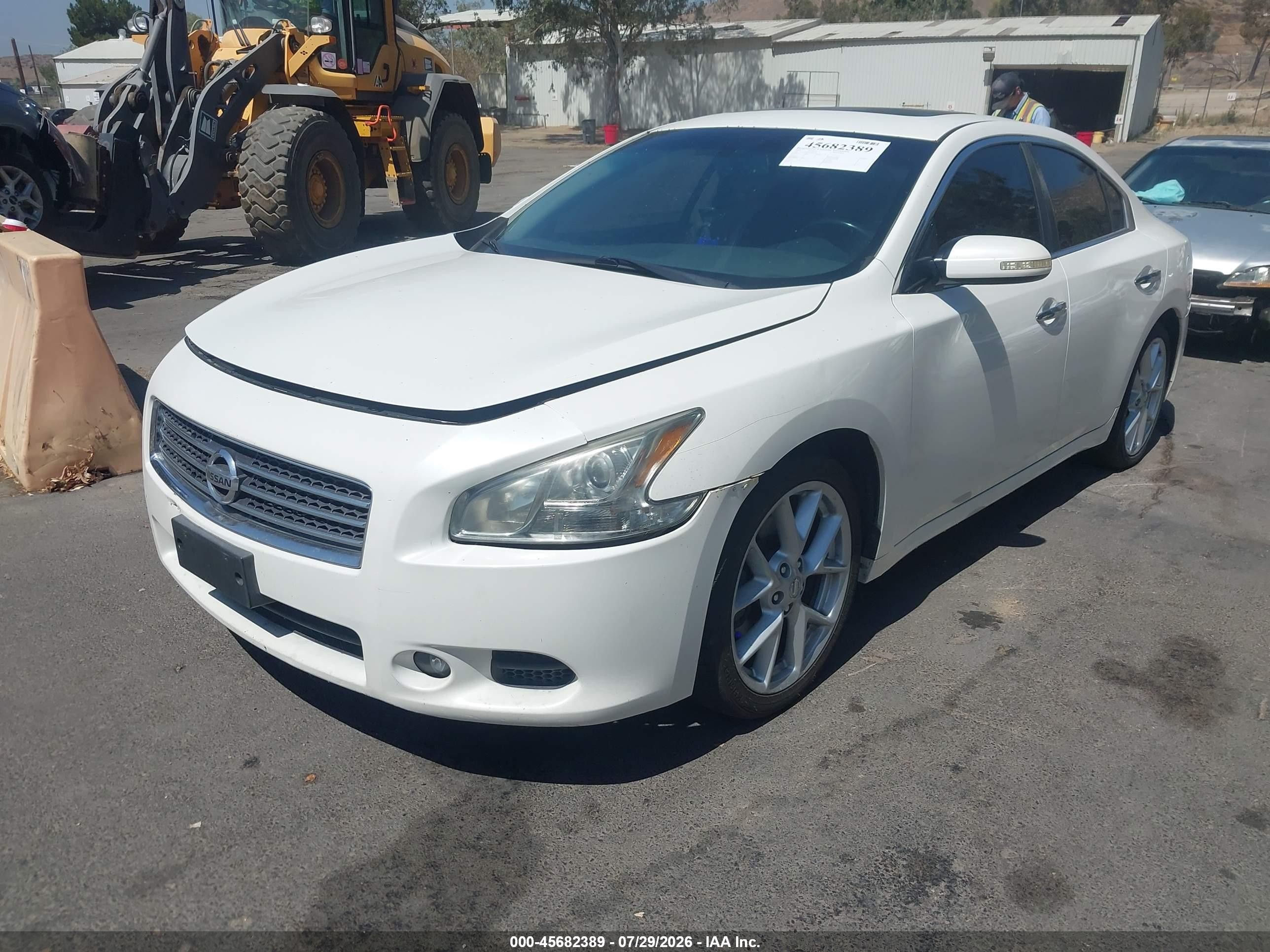 2009 Nissan Maxima 3.5 Sv White vin: 1N4AA51E59C820262