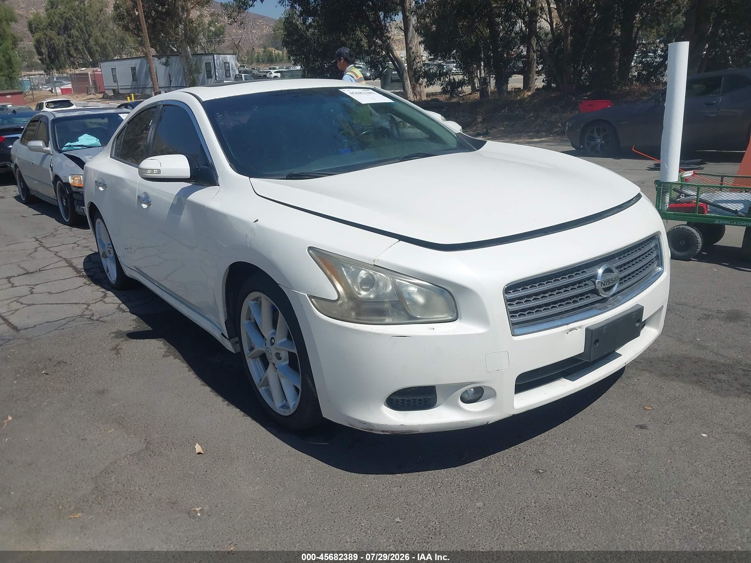 2009 Nissan Maxima 3.5 Sv White vin: 1N4AA51E59C820262