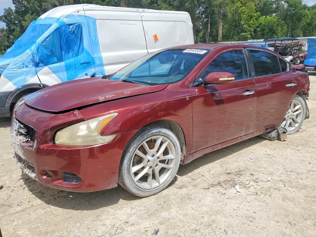 2009 Nissan Maxima 3.5 S Red vin: 1N4AA51E59C830029