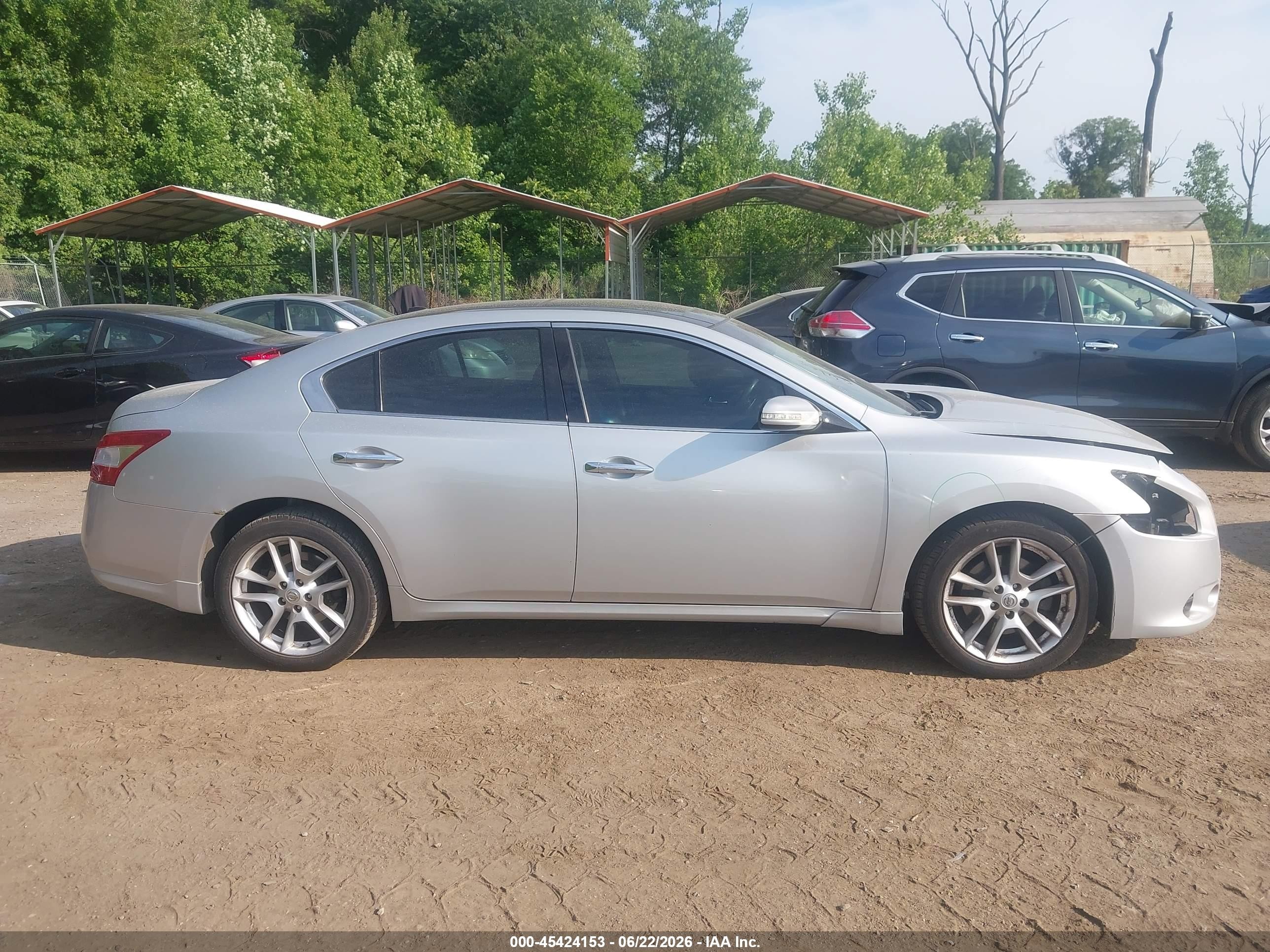 2009 Nissan Maxima 3.5 Sv Silver vin: 1N4AA51E59C842522