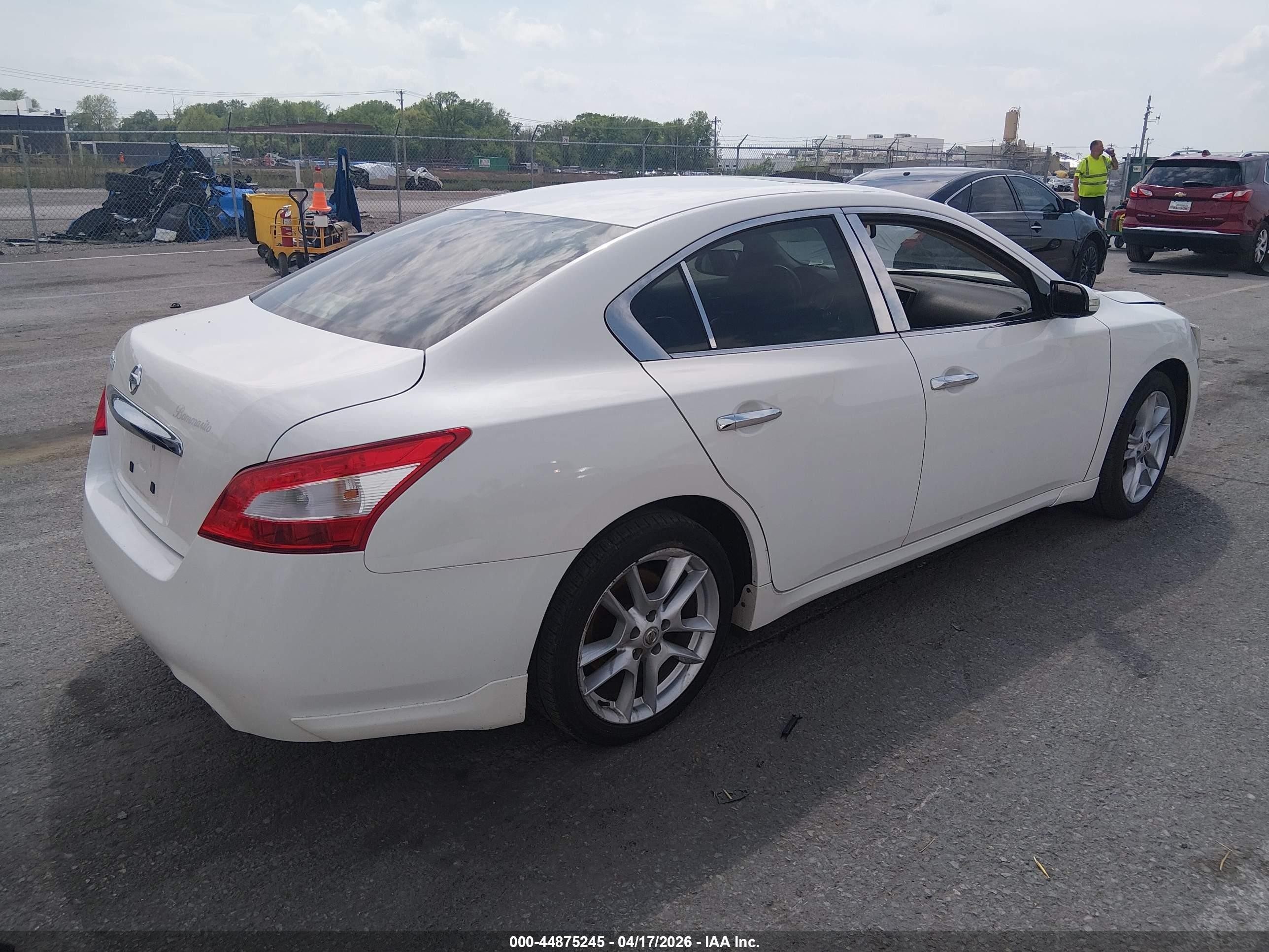 2009 Nissan Maxima 3.5 Sv White vin: 1N4AA51E59C848983