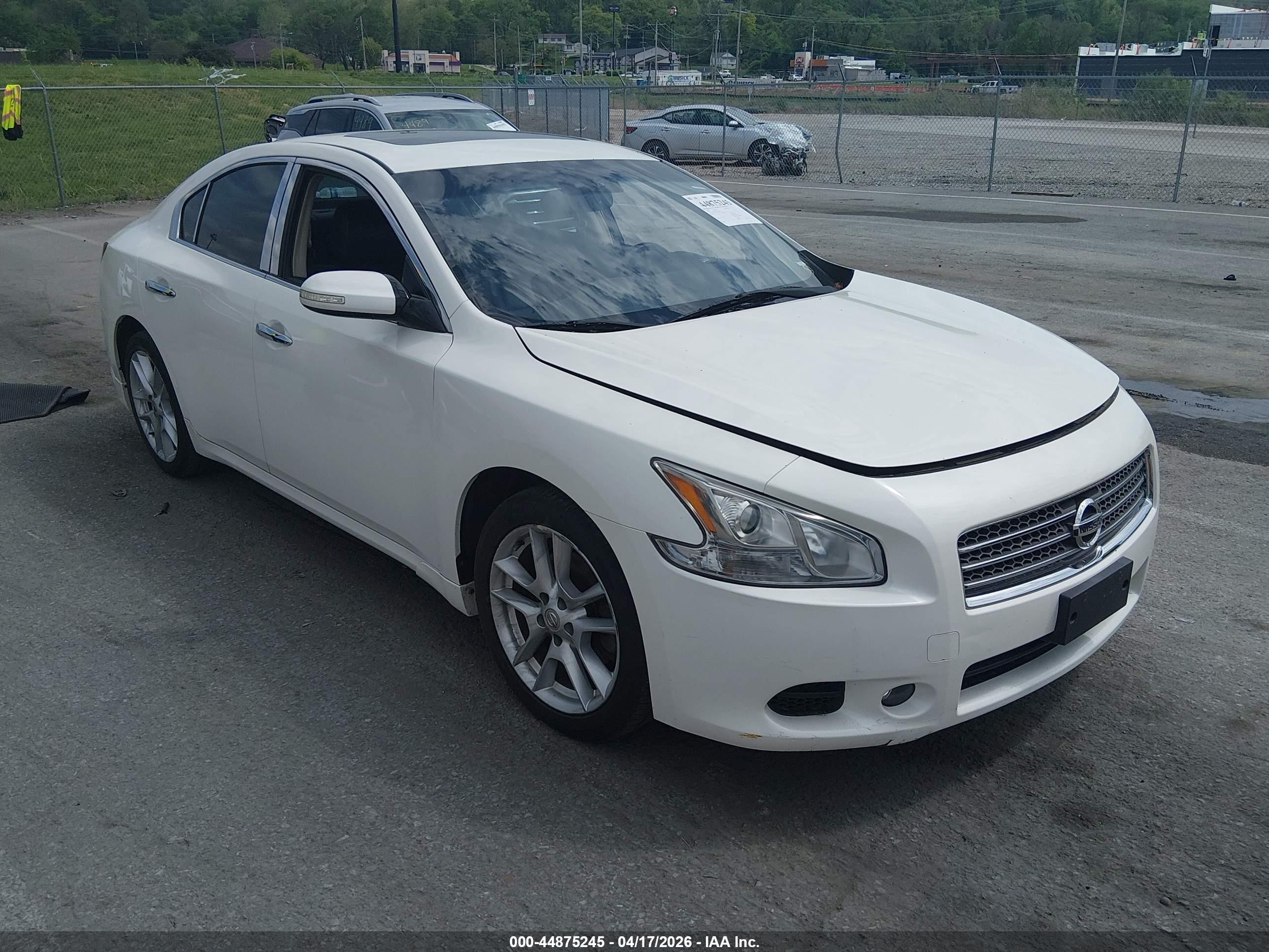 2009 Nissan Maxima 3.5 Sv White vin: 1N4AA51E59C848983