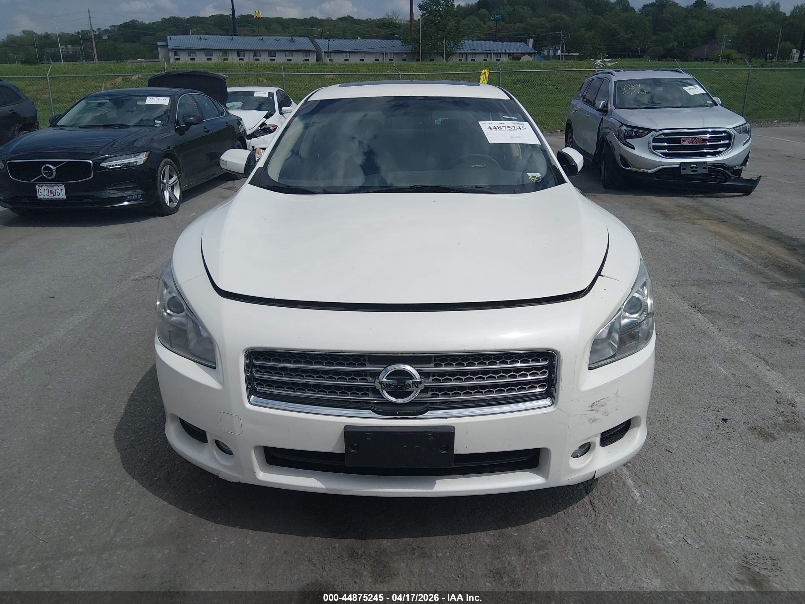 2009 Nissan Maxima 3.5 Sv White vin: 1N4AA51E59C848983