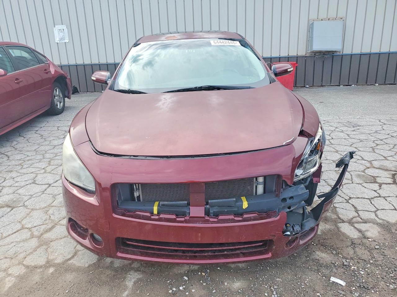 2009 Nissan Maxima 3.5 S Red vin: 1N4AA51E59C850152