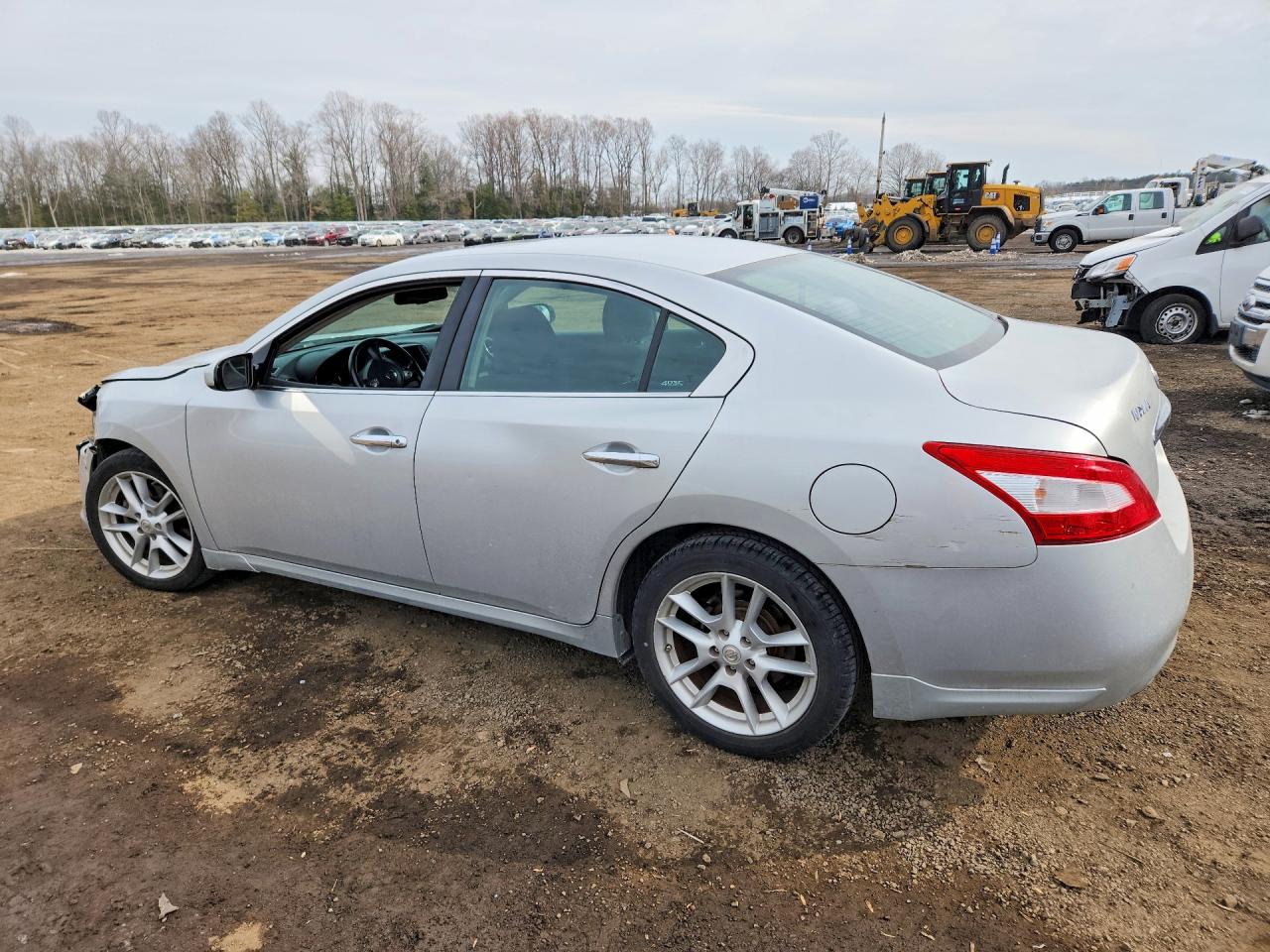 2009 Nissan Maxima Silver vin: 1N4AA51E59C856789