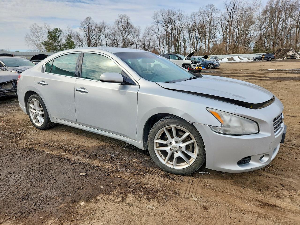 2009 Nissan Maxima Silver vin: 1N4AA51E59C856789