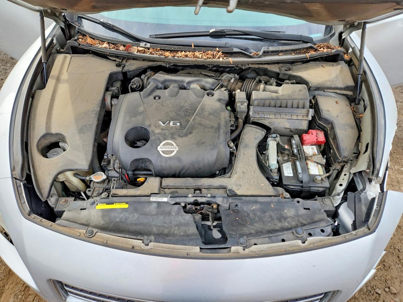 2009 Nissan Maxima Silver vin: 1N4AA51E59C856789