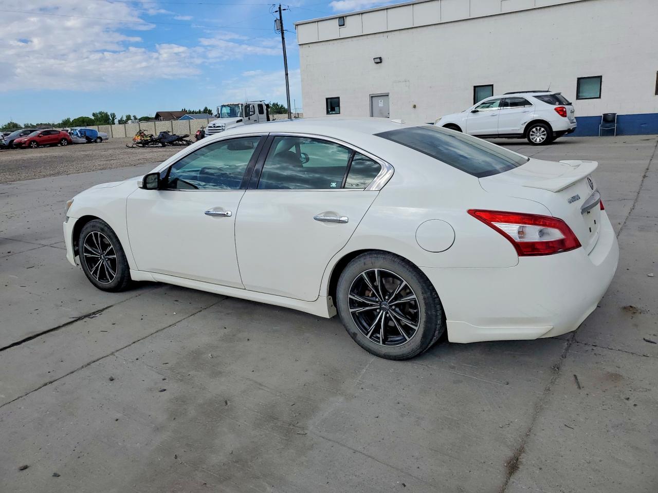 2009 Nissan Maxima Белый vin: 1N4AA51E69C807746