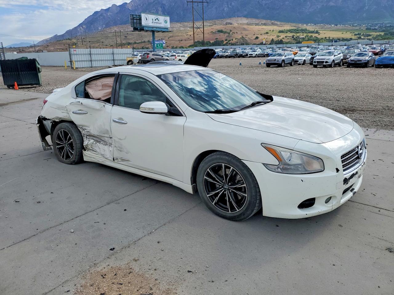 2009 Nissan Maxima Белый vin: 1N4AA51E69C807746