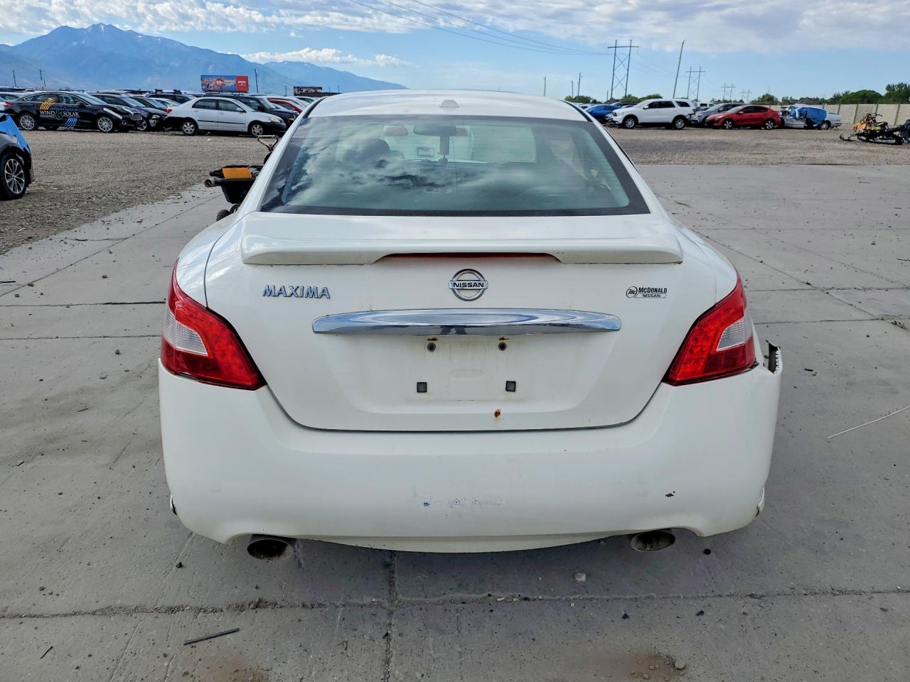 2009 Nissan Maxima Белый vin: 1N4AA51E69C807746