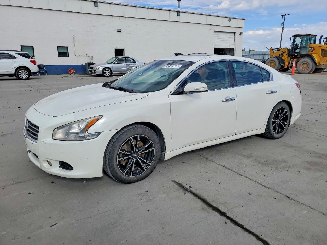 2009 Nissan Maxima Белый vin: 1N4AA51E69C807746