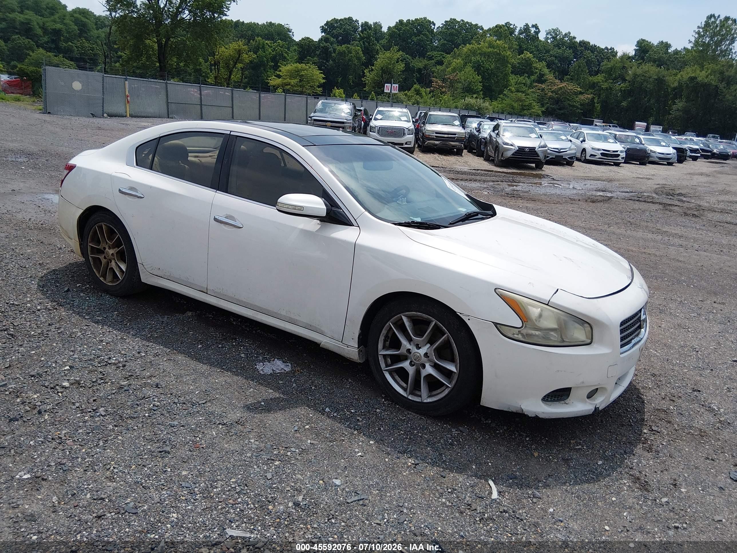 2009 Nissan Maxima 3.5 Sv White vin: 1N4AA51E69C830993