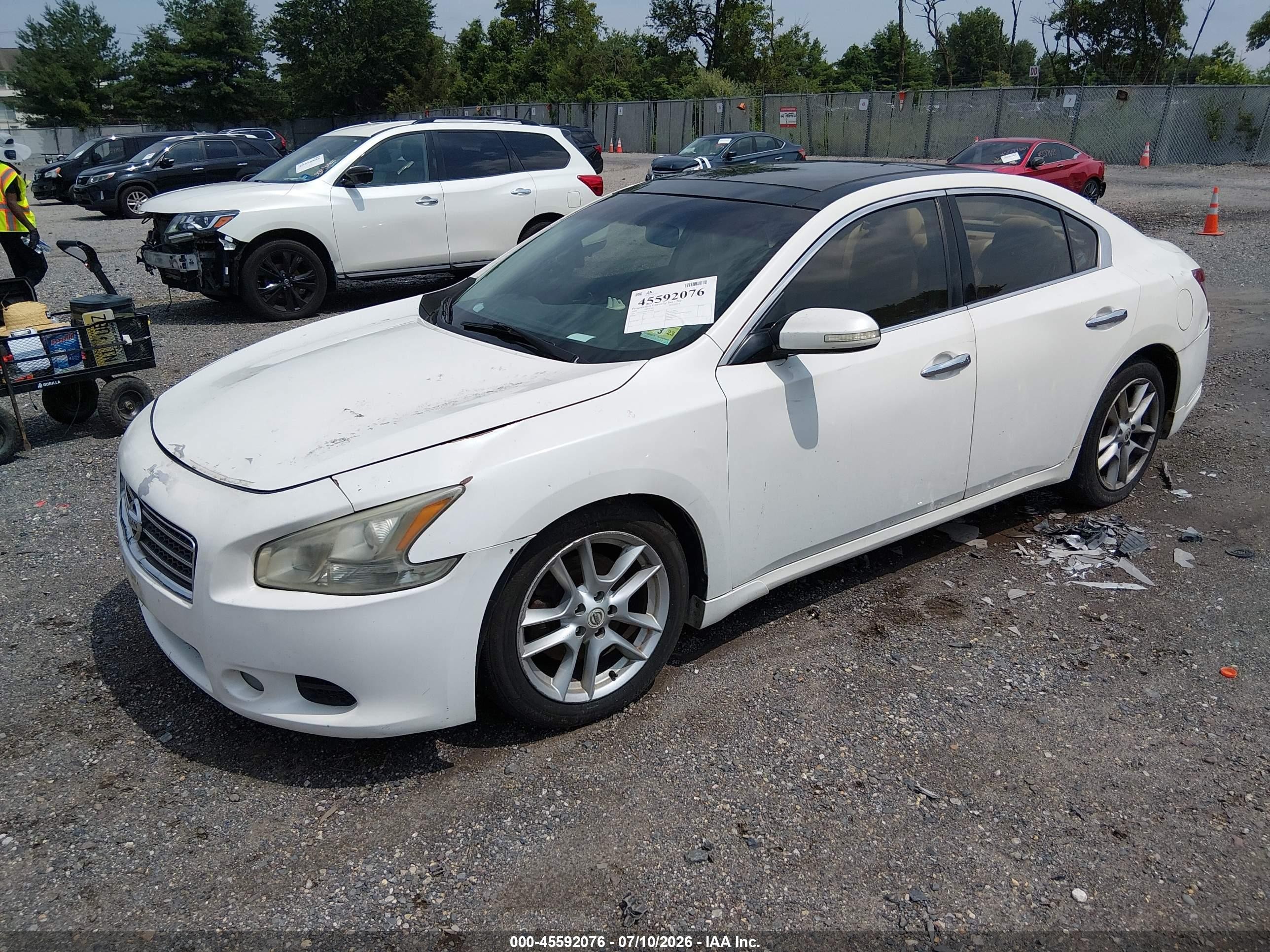 2009 Nissan Maxima 3.5 Sv Белый vin: 1N4AA51E69C830993