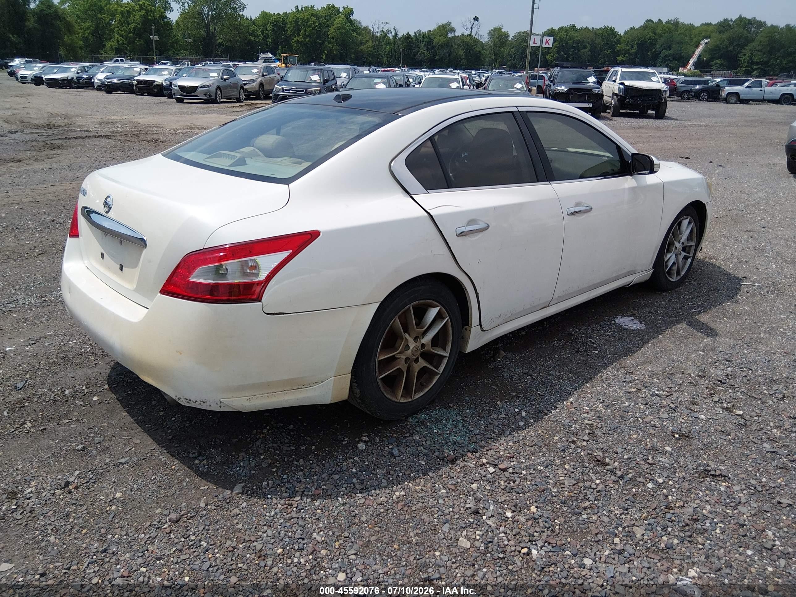 2009 Nissan Maxima 3.5 Sv Белый vin: 1N4AA51E69C830993