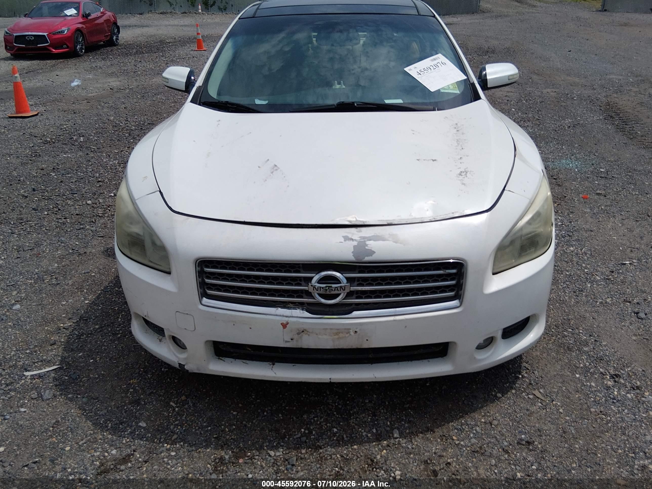 2009 Nissan Maxima 3.5 Sv Белый vin: 1N4AA51E69C830993