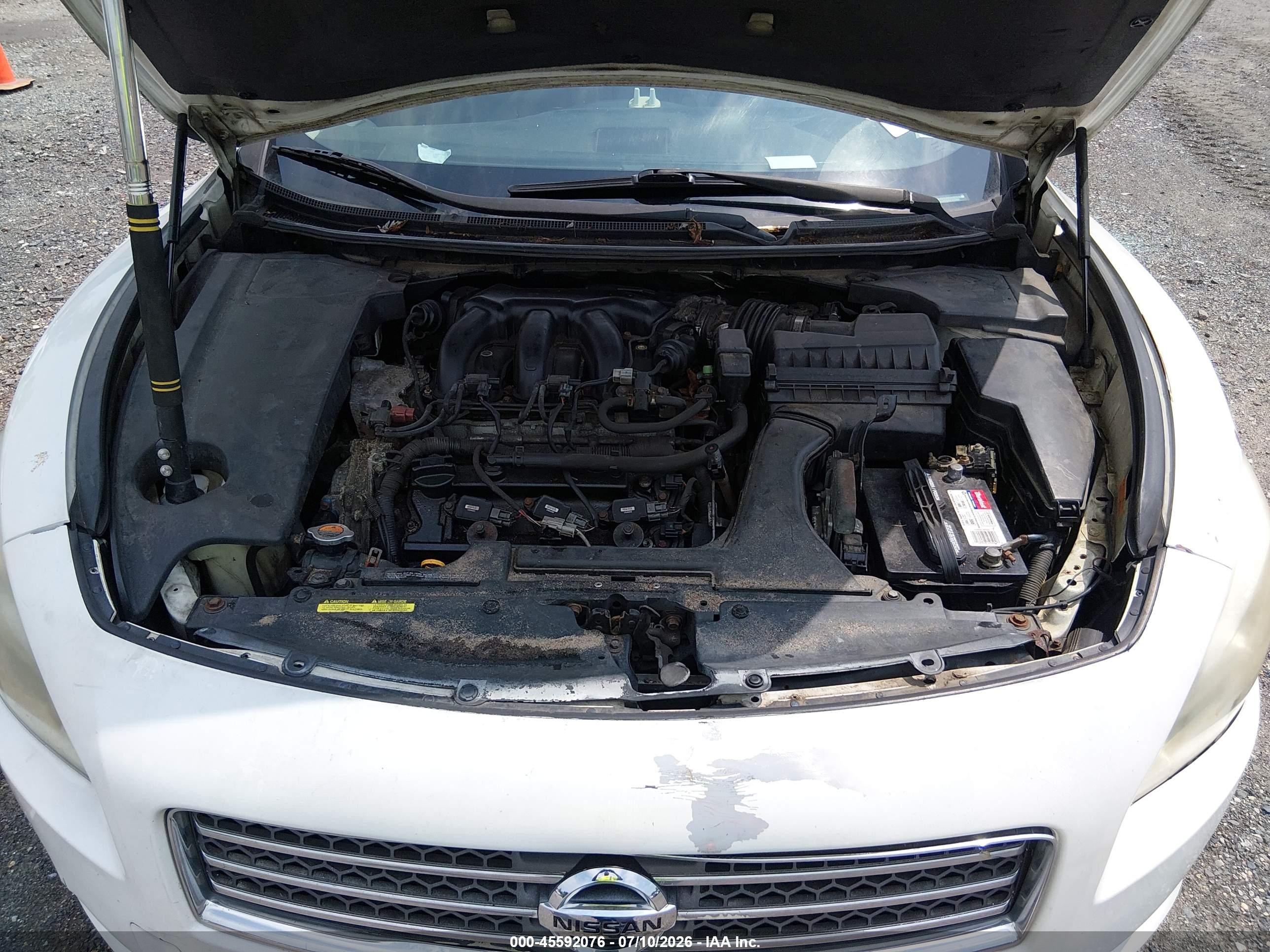 2009 Nissan Maxima 3.5 Sv Белый vin: 1N4AA51E69C830993