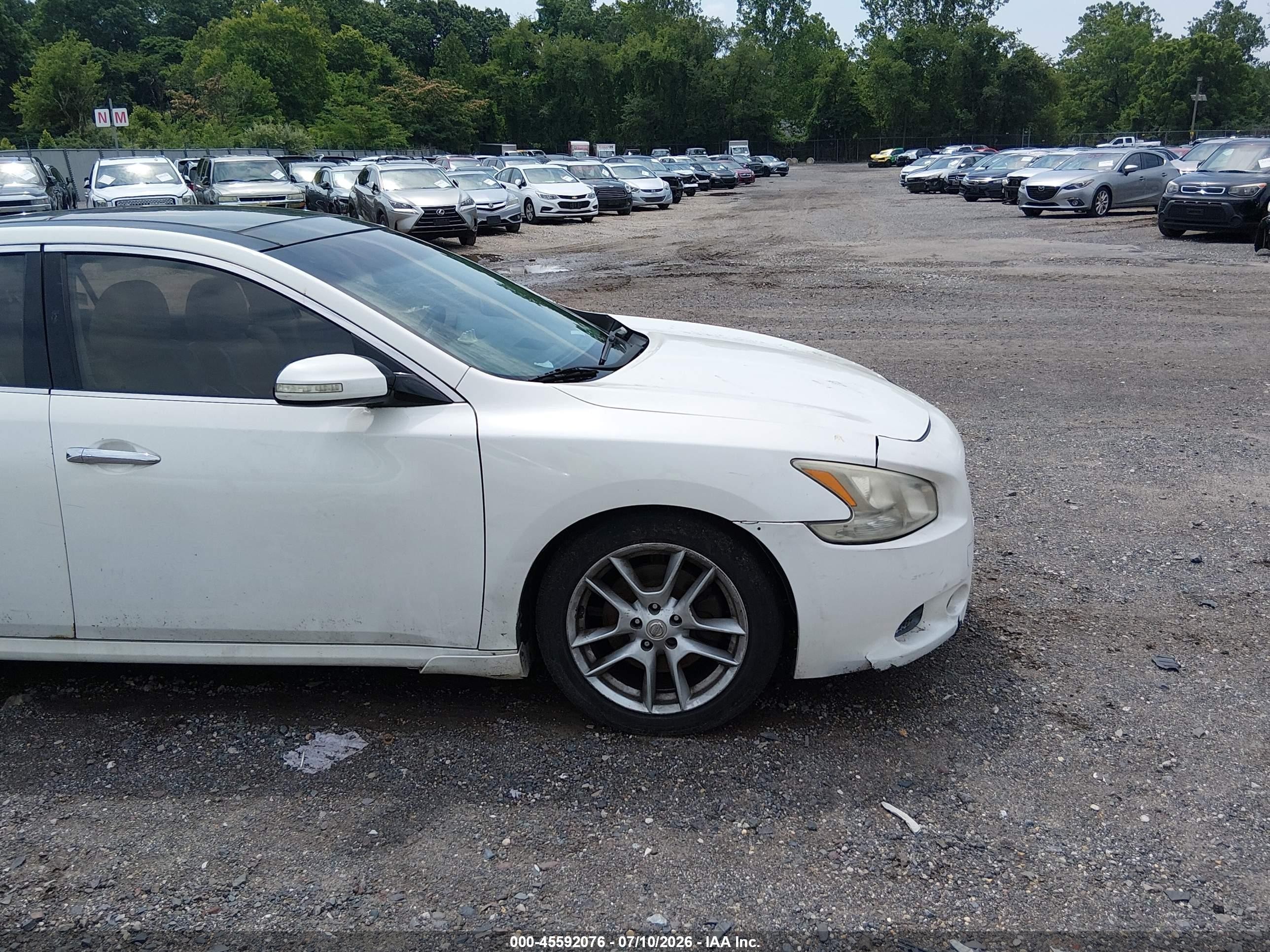 2009 Nissan Maxima 3.5 Sv Белый vin: 1N4AA51E69C830993
