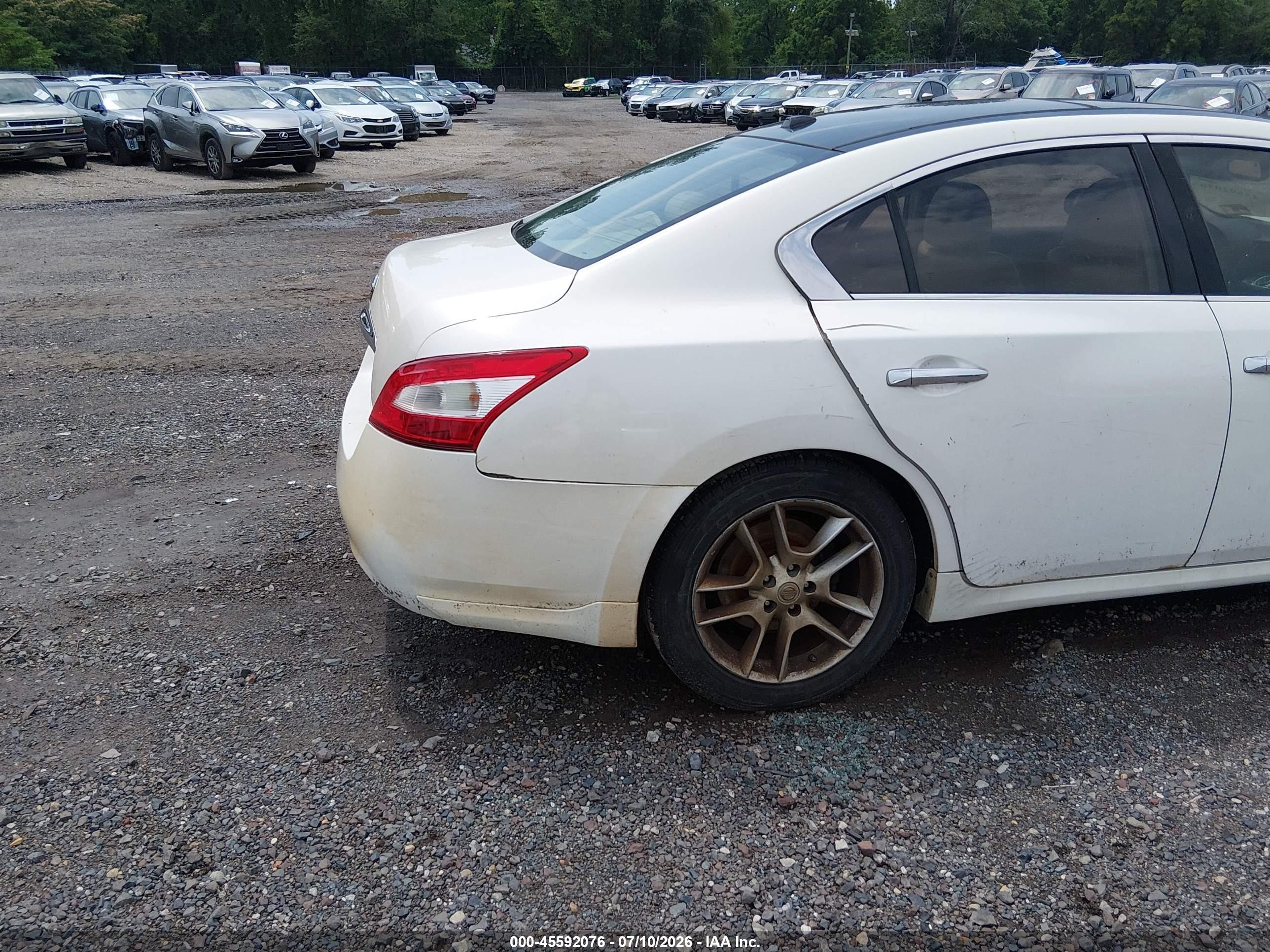 2009 Nissan Maxima 3.5 Sv Белый vin: 1N4AA51E69C830993