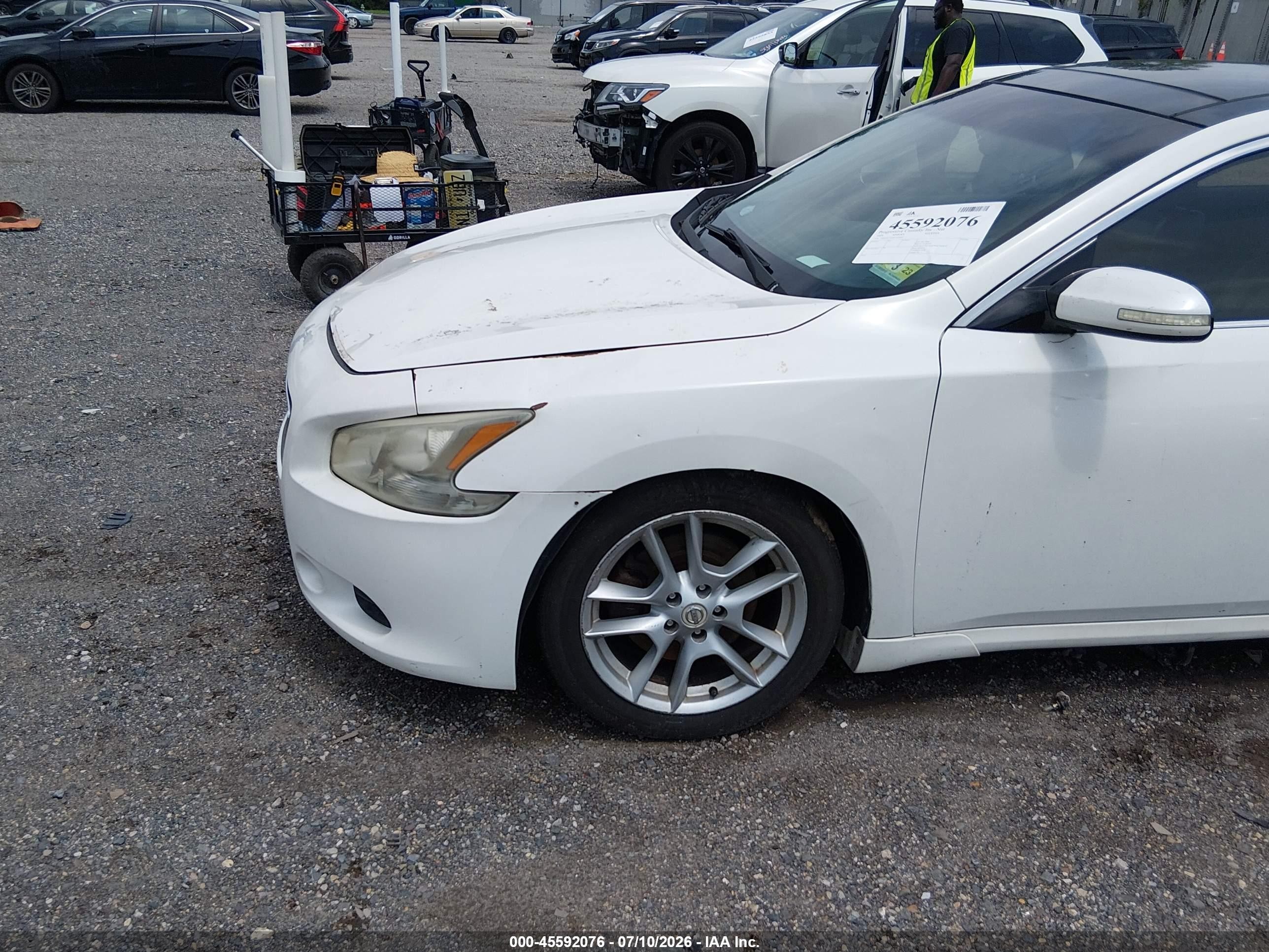 2009 Nissan Maxima 3.5 Sv Белый vin: 1N4AA51E69C830993