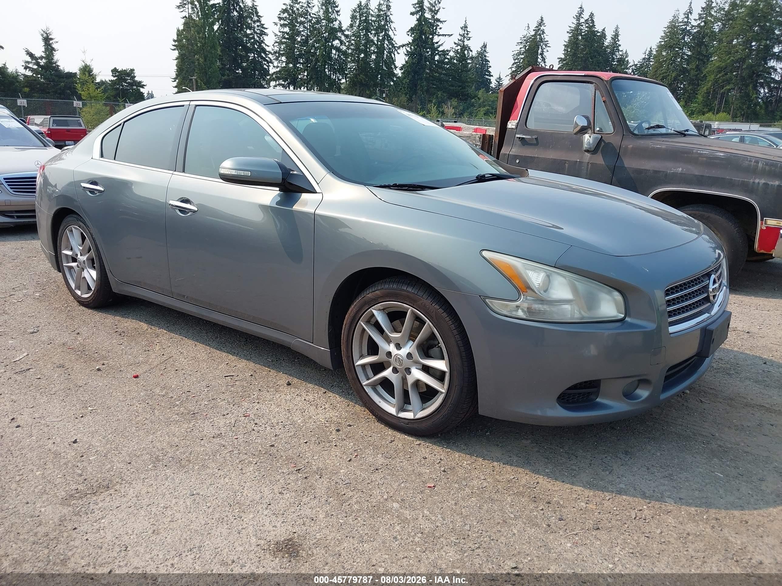 2009 Nissan Maxima 3.5 Sv Gray vin: 1N4AA51E69C832064