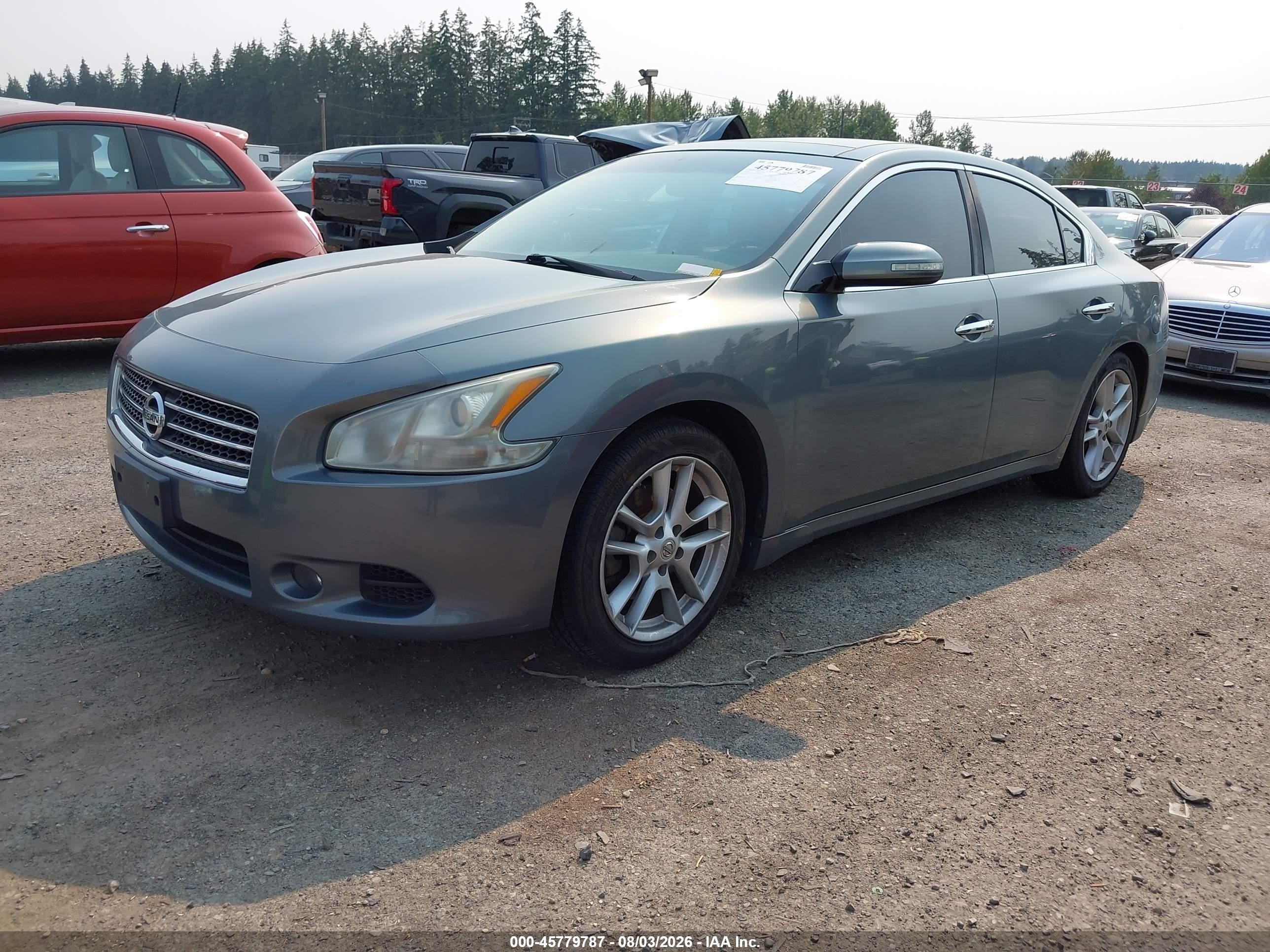 2009 Nissan Maxima 3.5 Sv Gray vin: 1N4AA51E69C832064