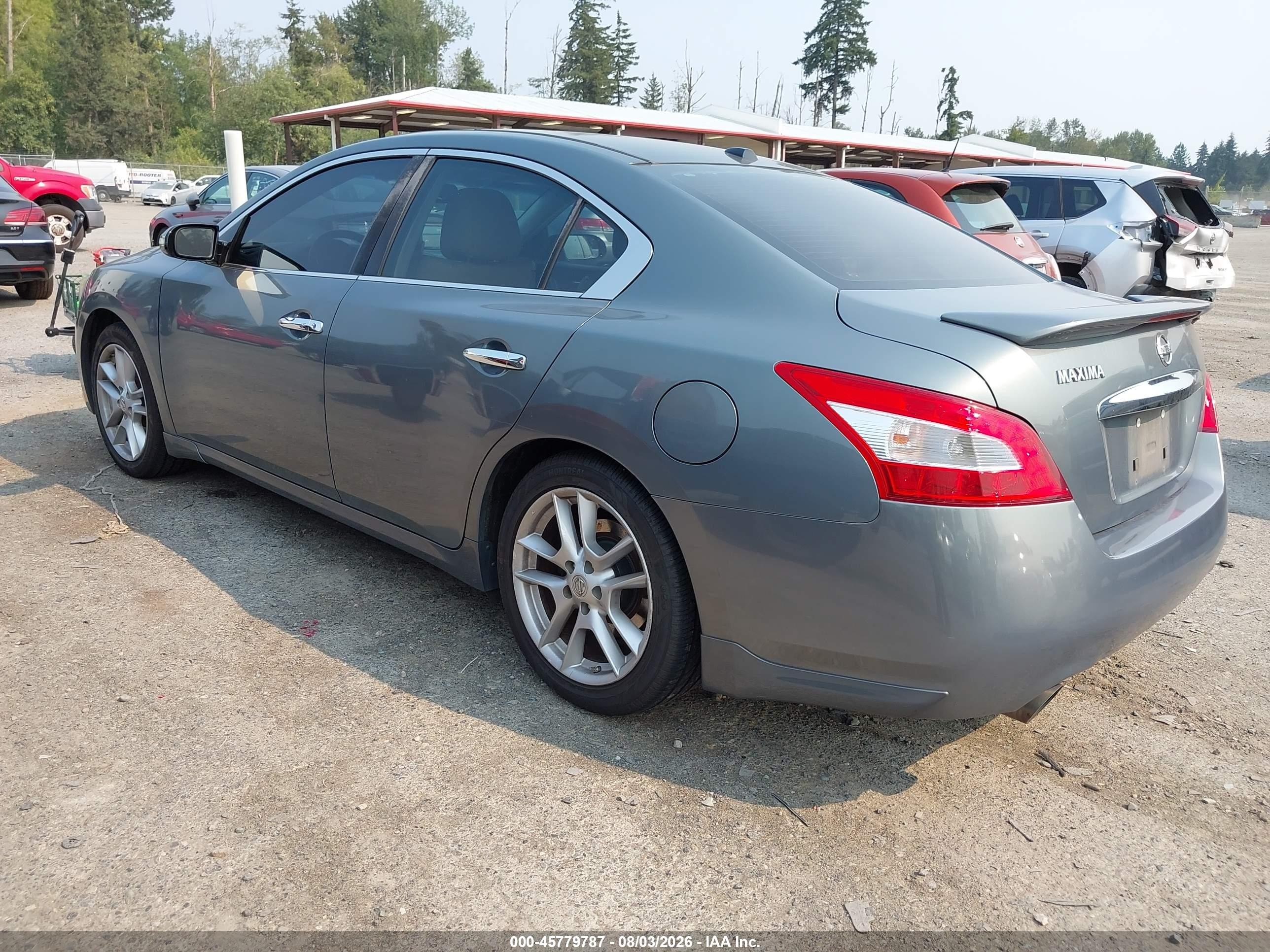 2009 Nissan Maxima 3.5 Sv Gray vin: 1N4AA51E69C832064