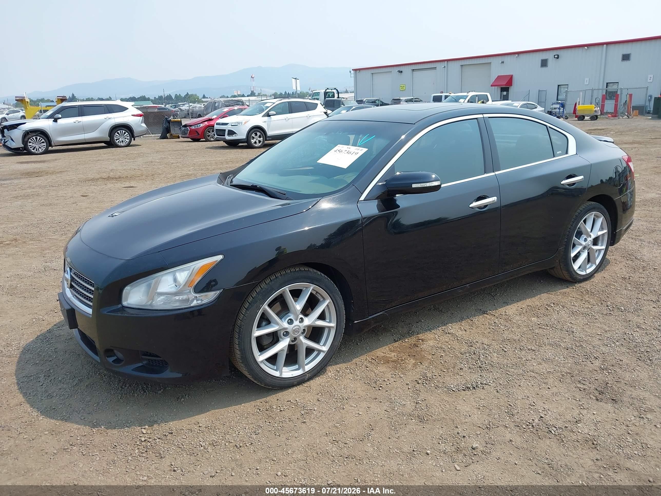 2009 Nissan Maxima 3.5 Sv Black vin: 1N4AA51E79C818593