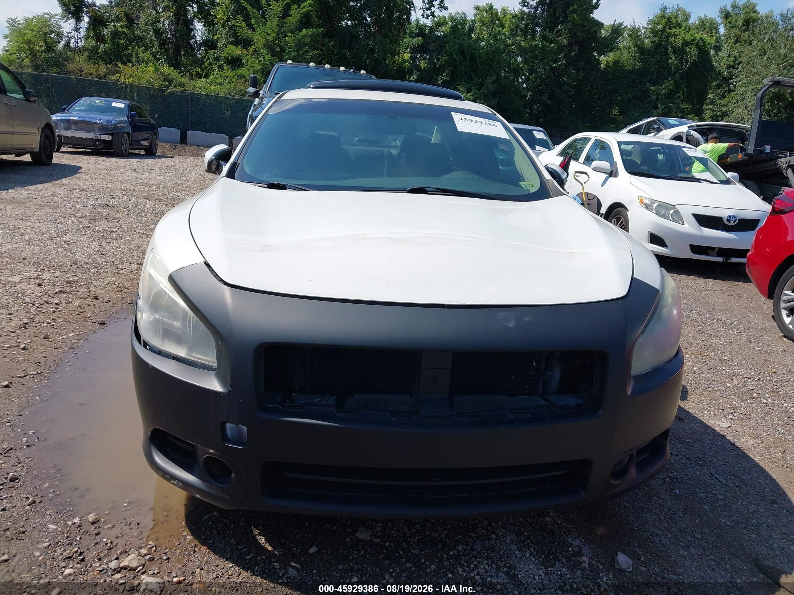 2009 Nissan Maxima 3.5 S White vin: 1N4AA51E79C841596