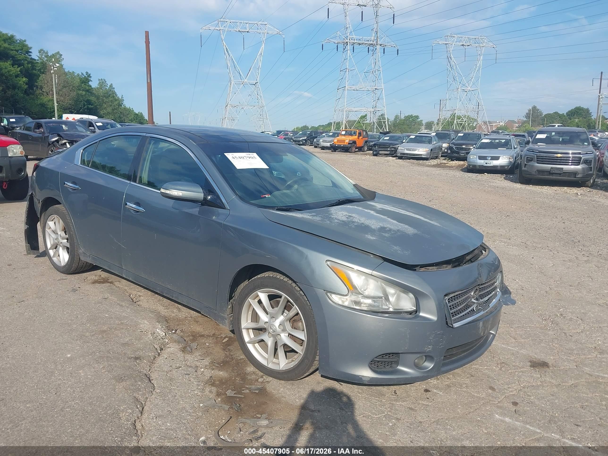 2009 Nissan Maxima 3.5 Sv Light Blue vin: 1N4AA51E79C854817