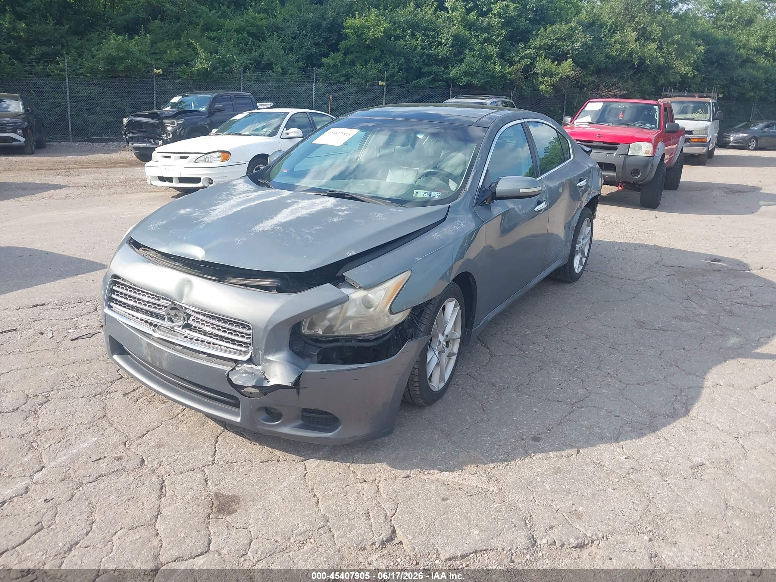2009 Nissan Maxima 3.5 Sv Light Blue vin: 1N4AA51E79C854817