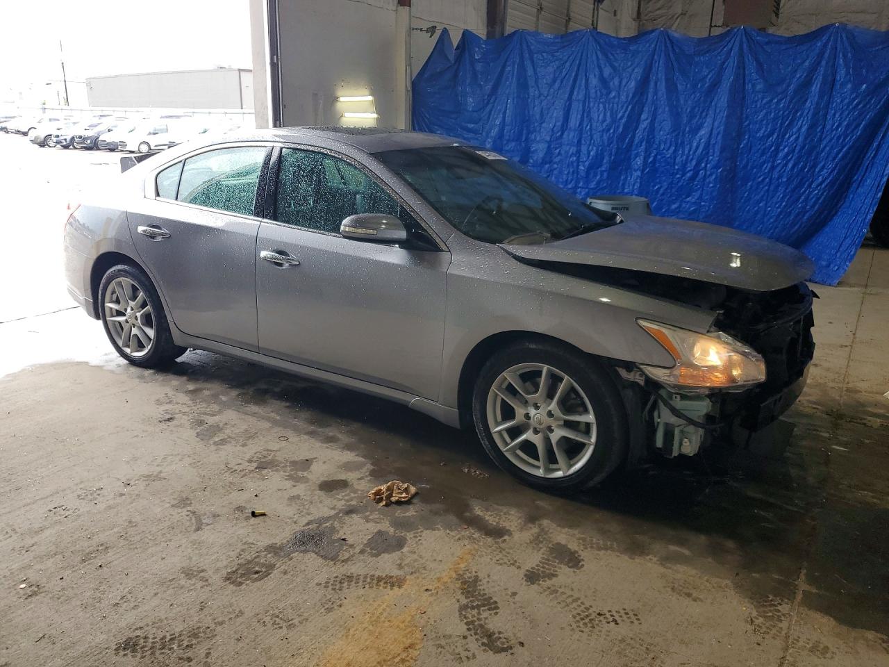 2009 Nissan Maxima 3.5 S Gray vin: 1N4AA51E79C856907