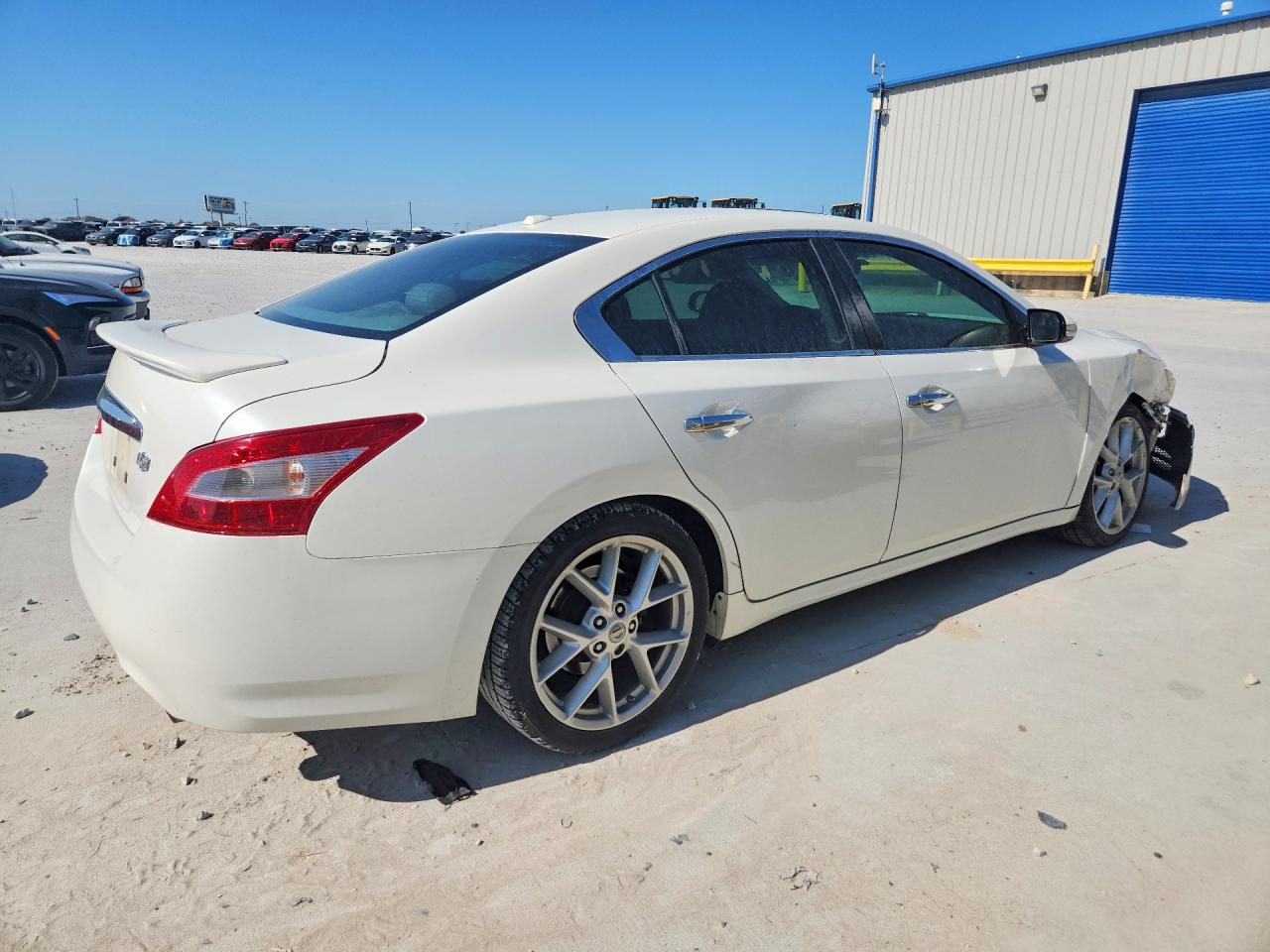 2009 Nissan Maxima Белый vin: 1N4AA51E89C804802
