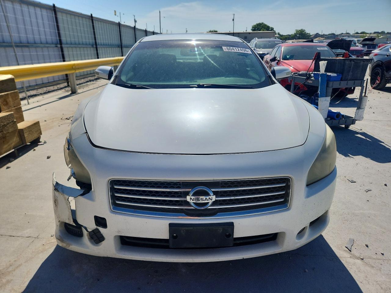 2009 Nissan Maxima Белый vin: 1N4AA51E89C804802