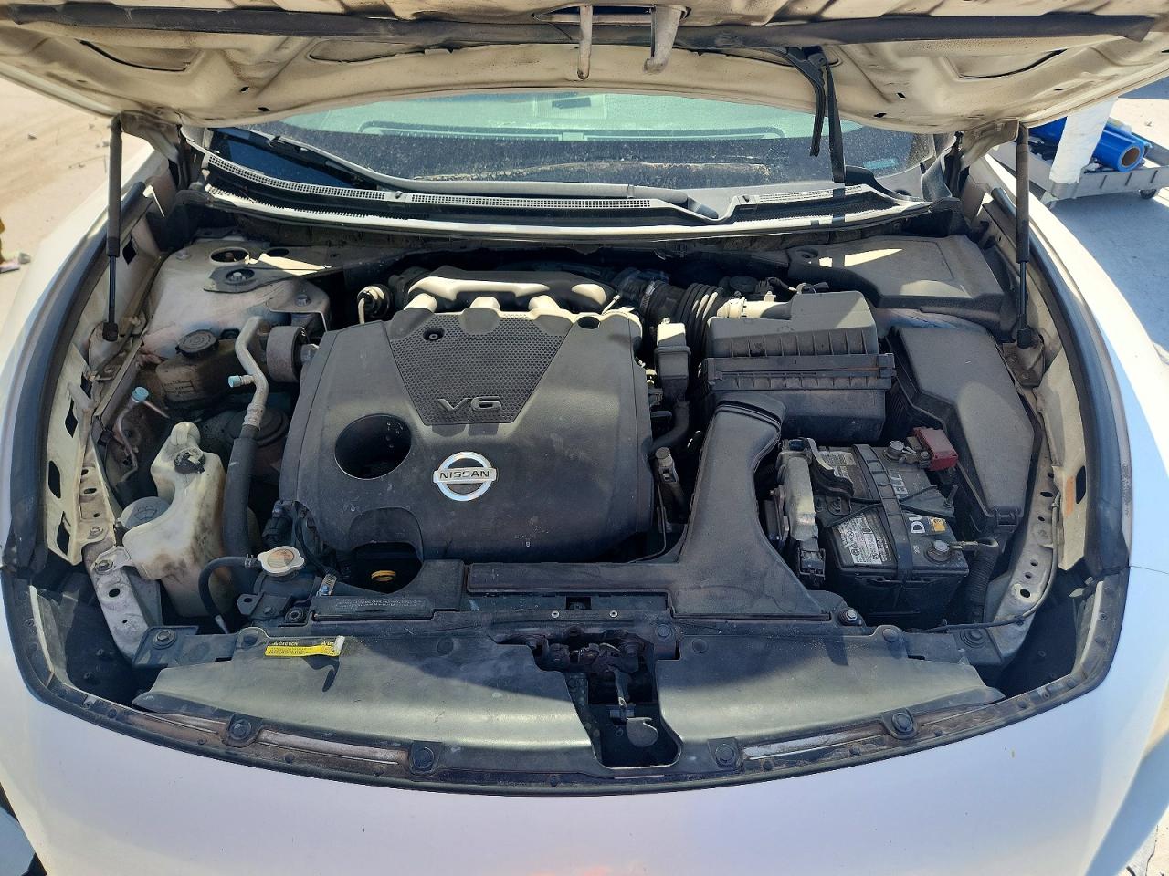 2009 Nissan Maxima Белый vin: 1N4AA51E89C804802