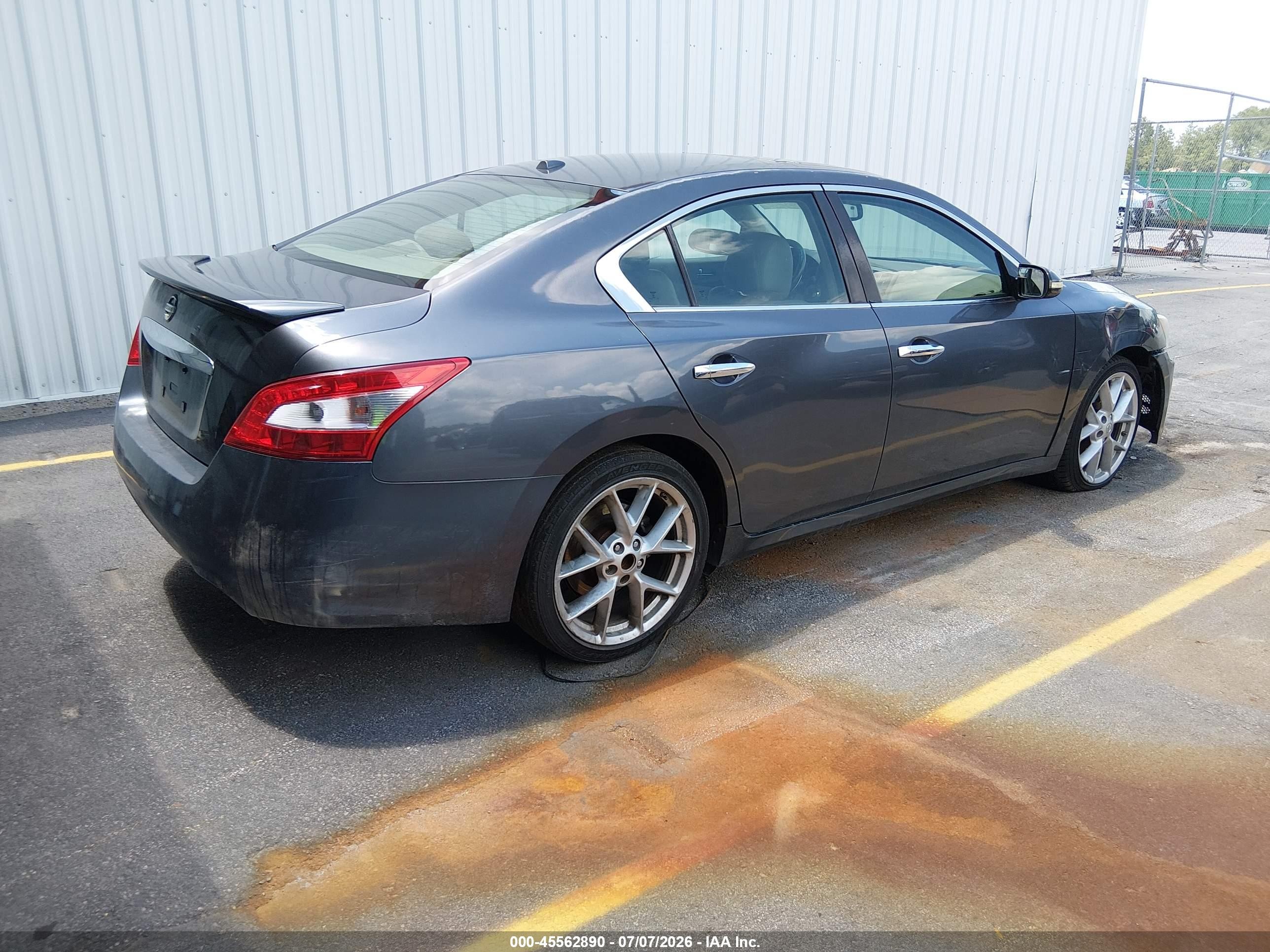 2009 Nissan Maxima 3.5 Sv Gray vin: 1N4AA51E89C806484