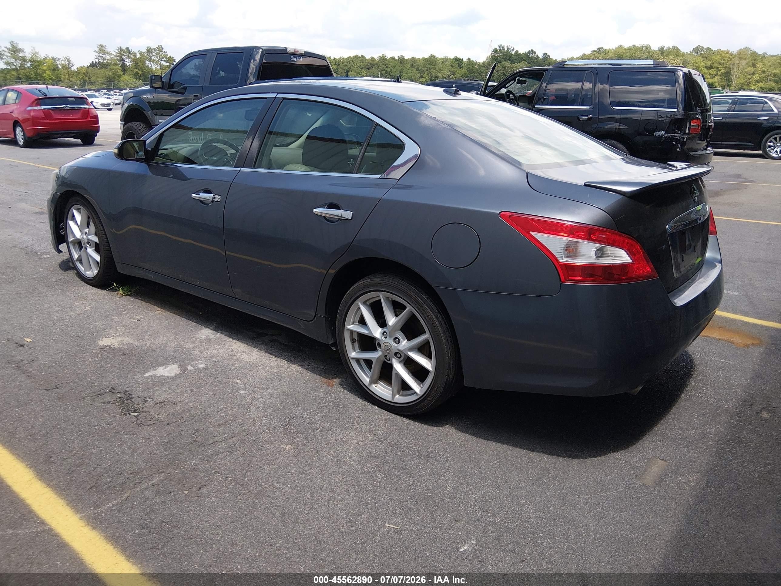 2009 Nissan Maxima 3.5 Sv Gray vin: 1N4AA51E89C806484