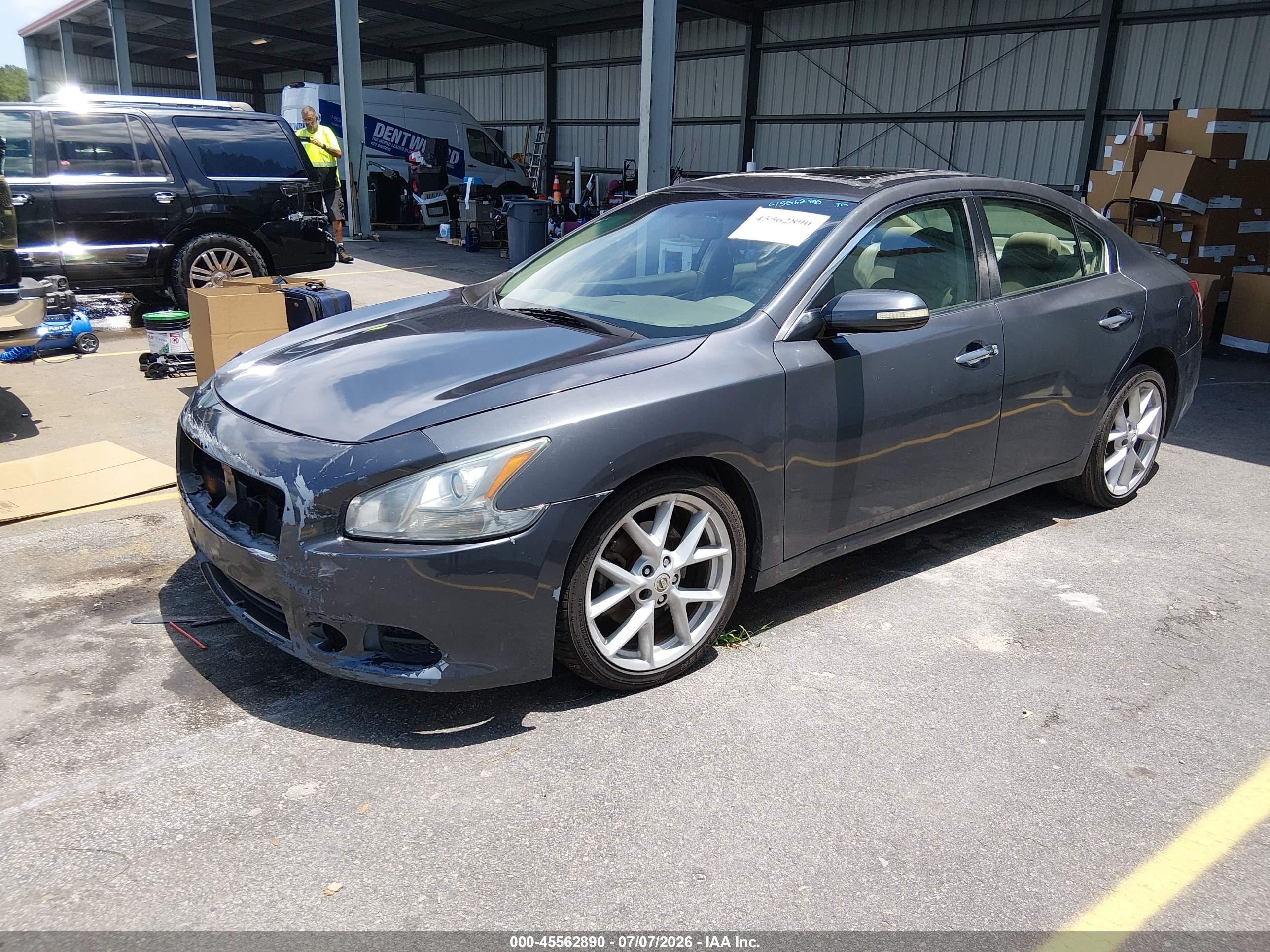 2009 Nissan Maxima 3.5 Sv Gray vin: 1N4AA51E89C806484