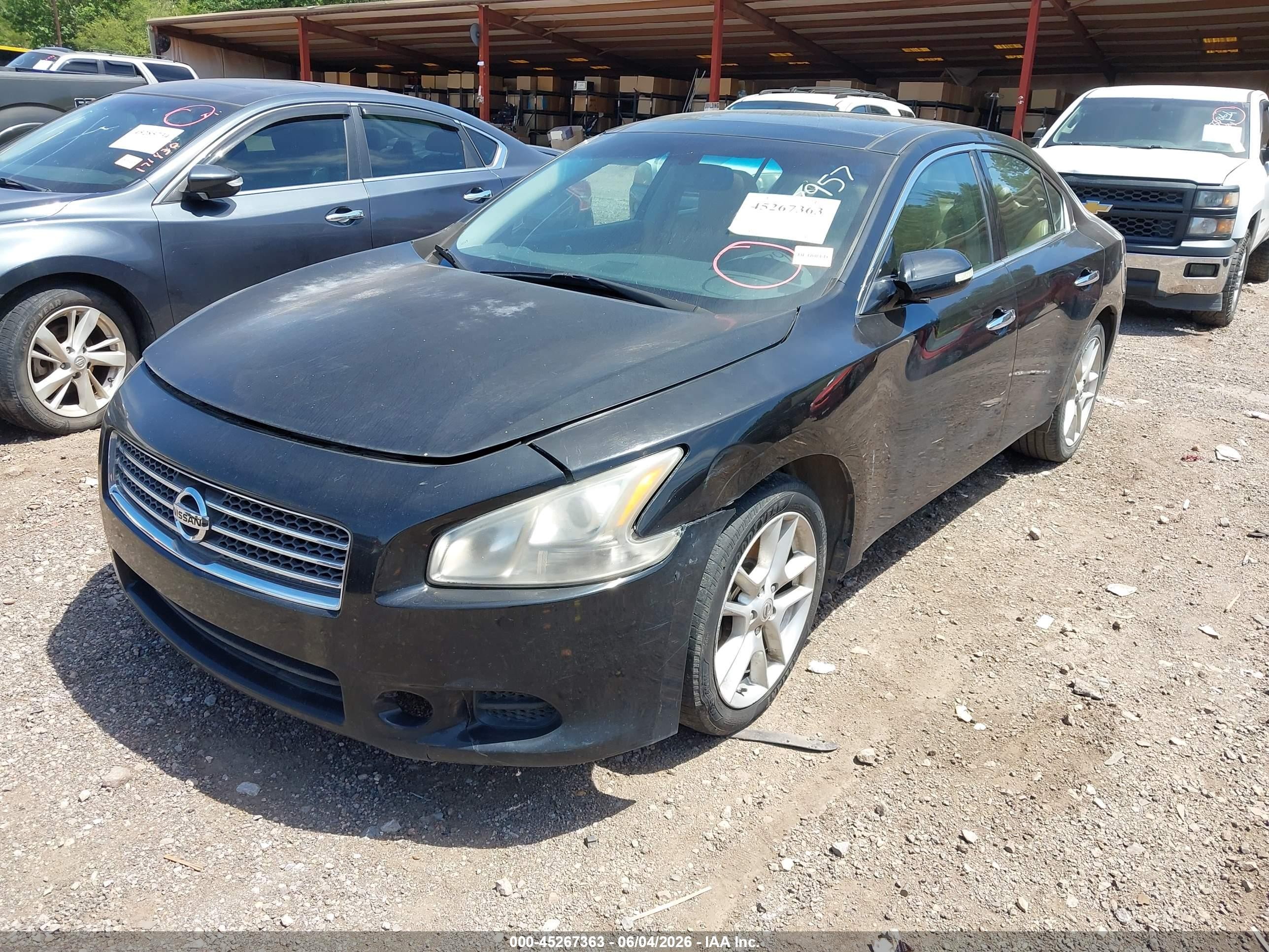 2009 Nissan Maxima 3.5 Sv Black vin: 1N4AA51E89C807957