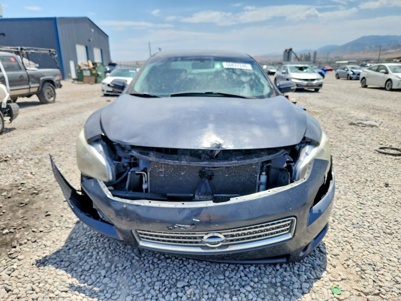 2009 Nissan Maxima 3.5 S Black vin: 1N4AA51E89C829117