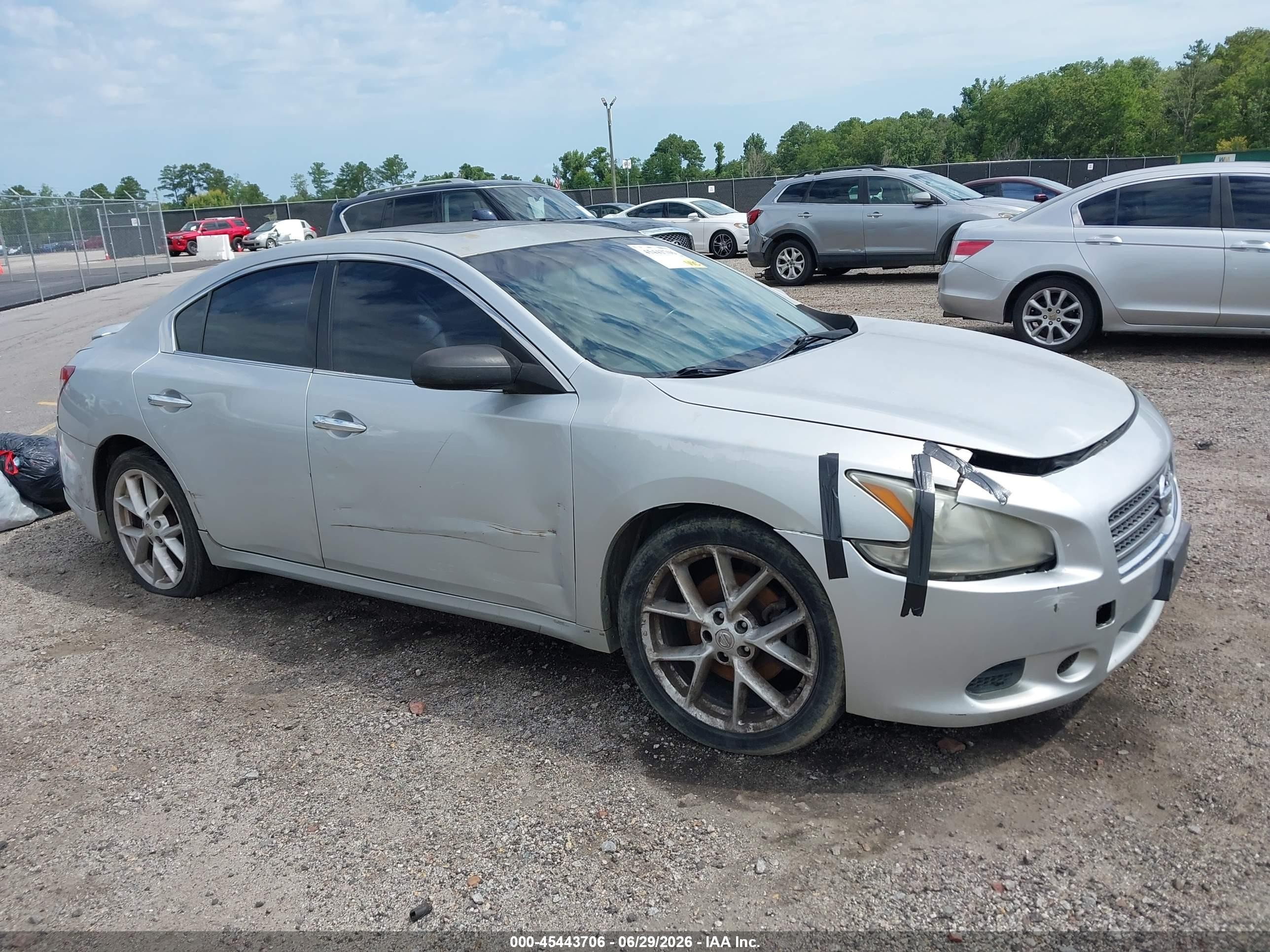 2009 Nissan Maxima 3.5 Sv Silver vin: 1N4AA51E89C847973