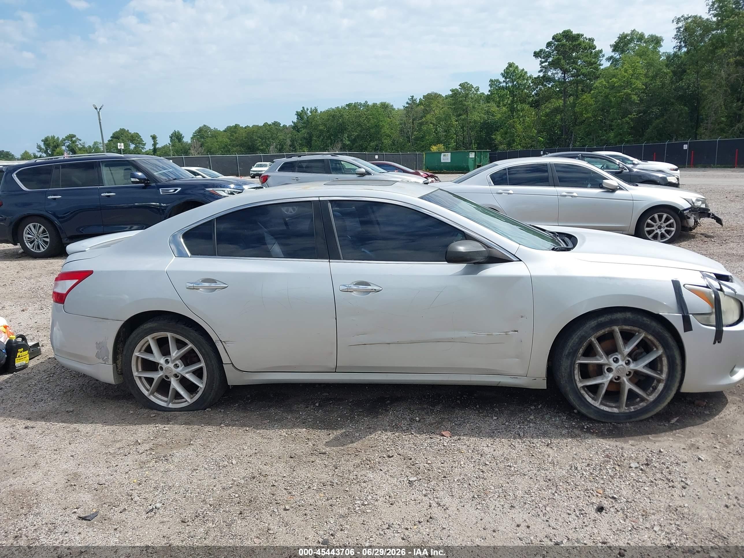 2009 Nissan Maxima 3.5 Sv Silver vin: 1N4AA51E89C847973